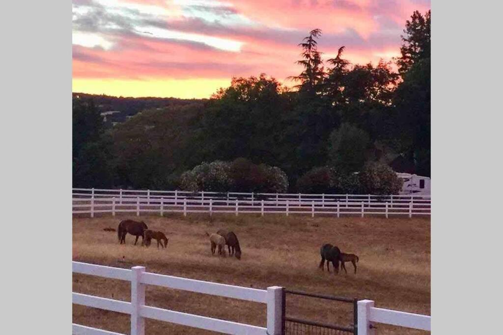 Miscellaneous Market Vacations - Amazing Loft on Horse Ranch - Property Image 5