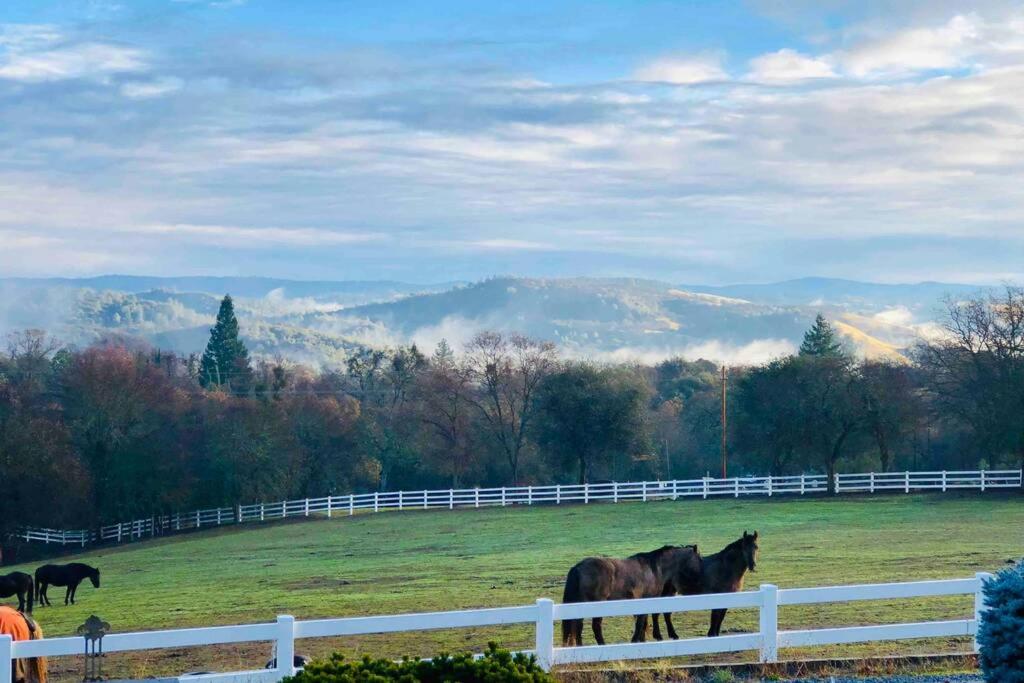 Miscellaneous Market Vacations - Amazing Loft on Horse Ranch - Property Image 1