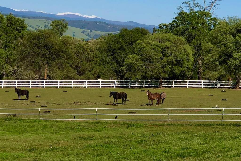 Miscellaneous Market Vacations - Amazing Loft on Horse Ranch - Property Image 4