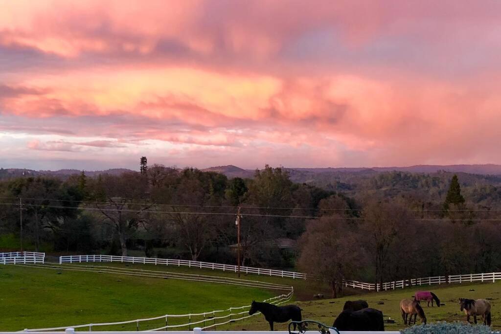 Miscellaneous Market Vacations - Amazing Loft on Horse Ranch - Property Image 3