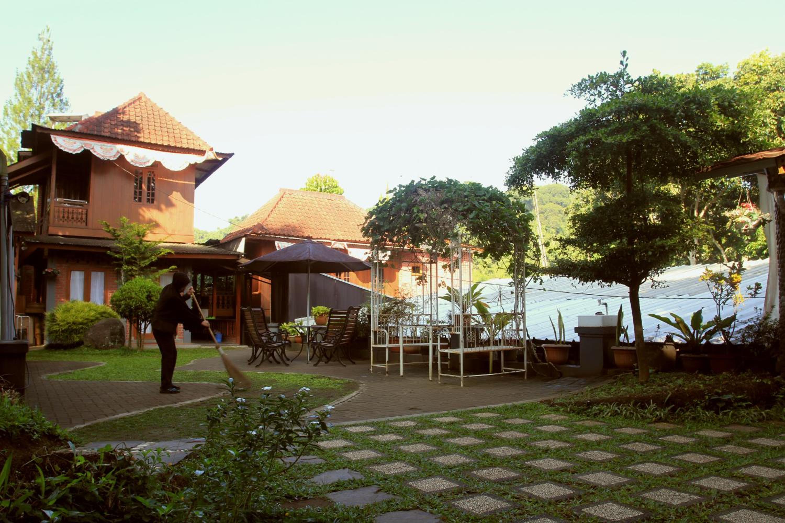 Photo 25