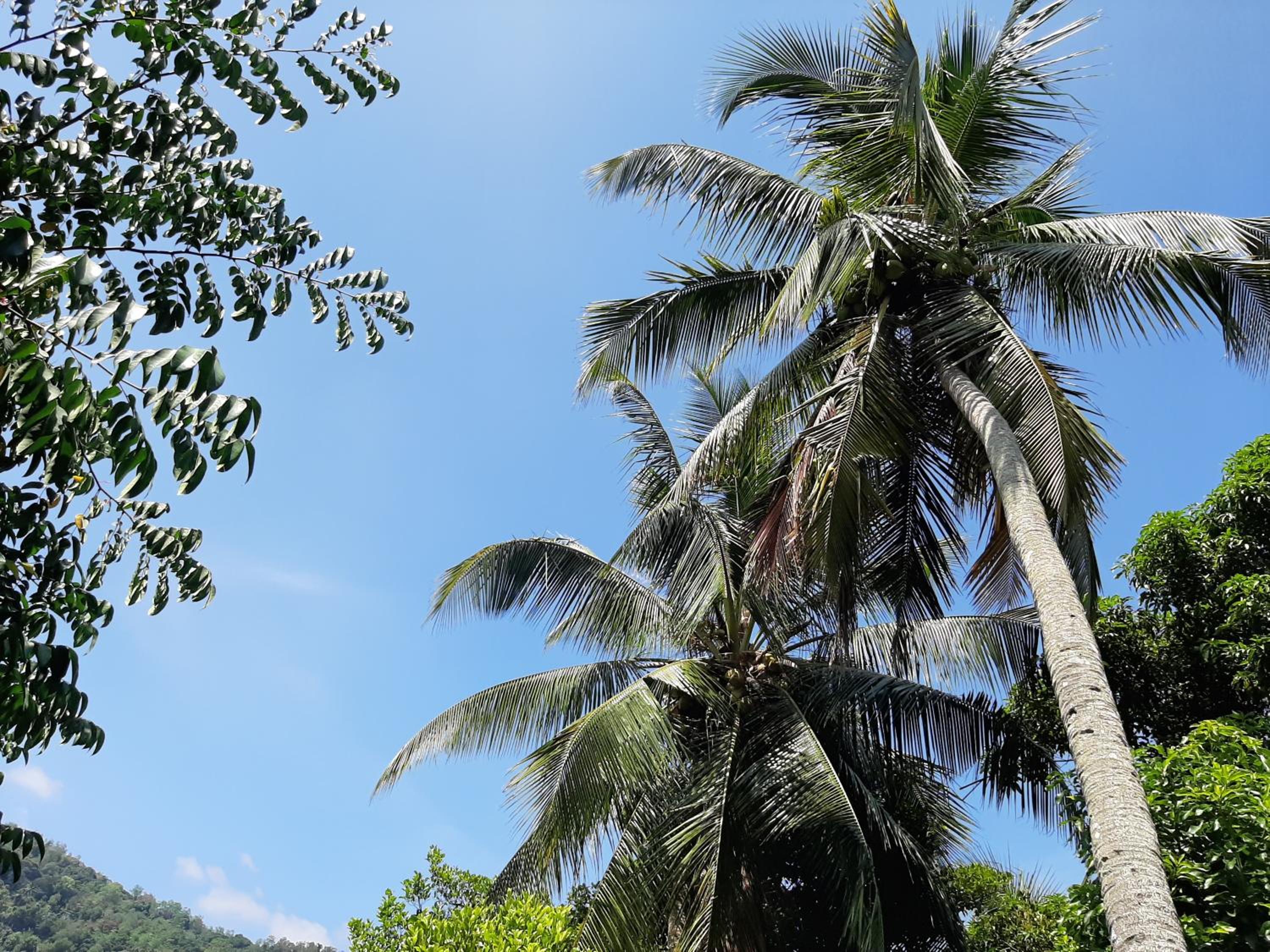 Lalanga Homestay