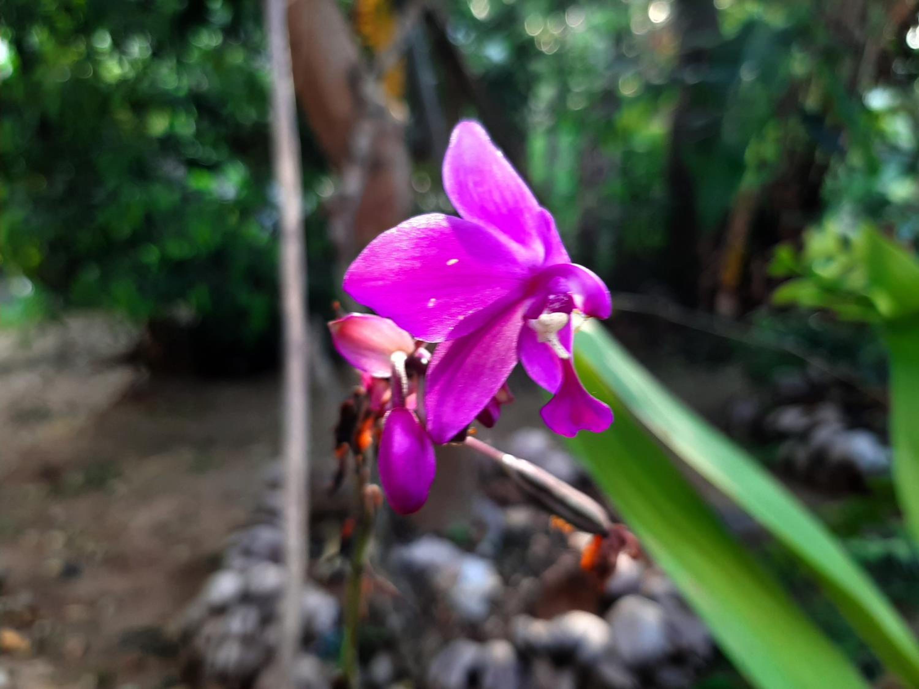 Lalanga Homestay
