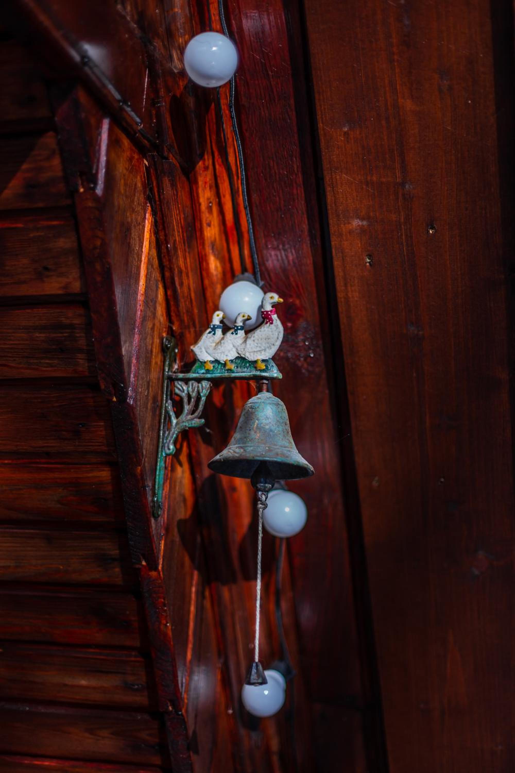 Photo 42