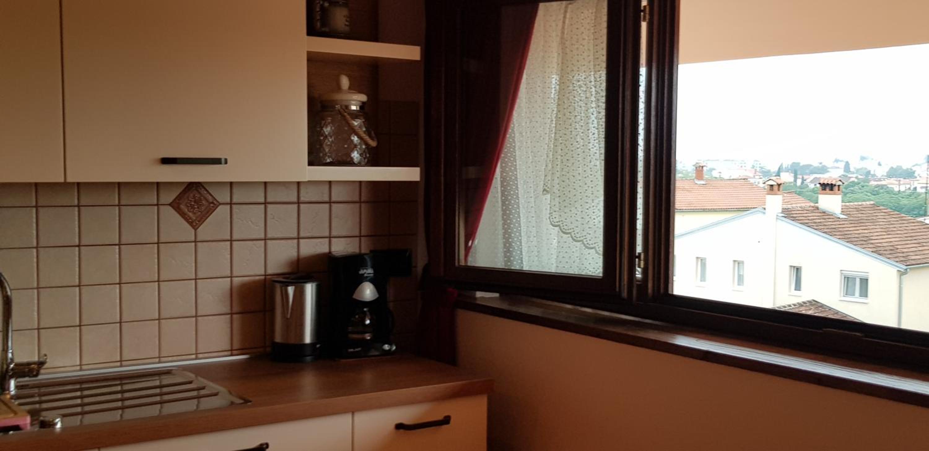 Apartmens Alenka view 5