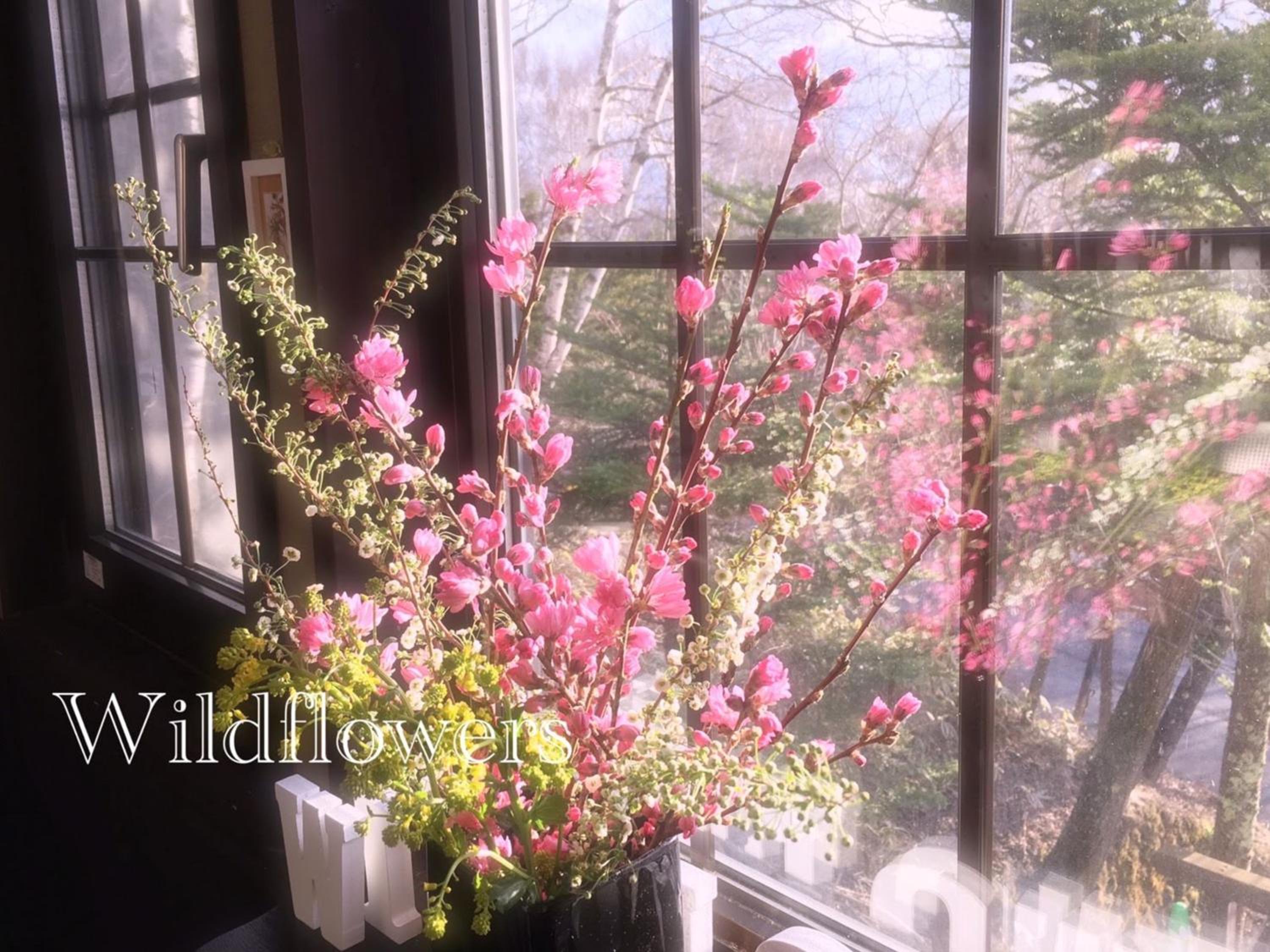Pension Wildflowers