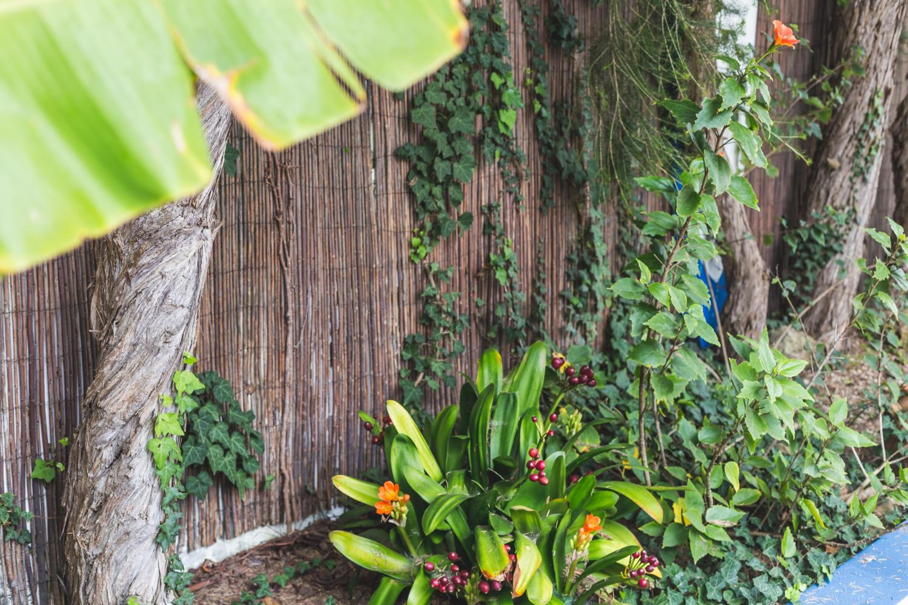 Ericeira Chill Hill Hostel & Private Rooms