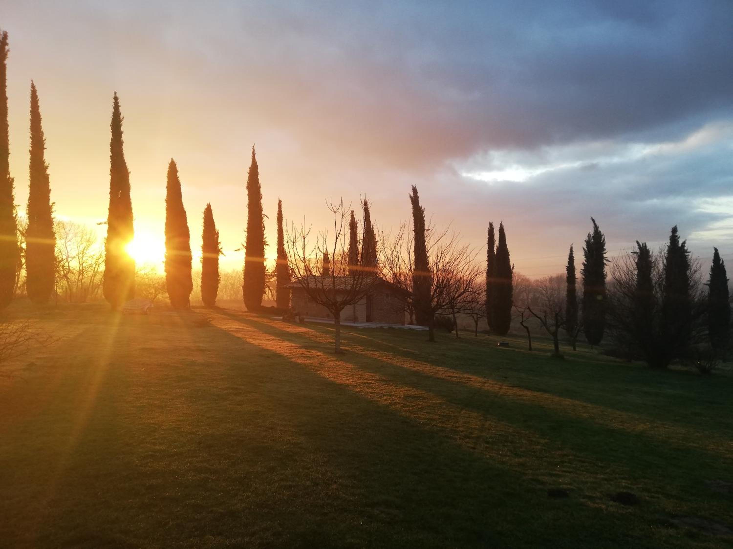 Agriturismo Podere Bianca Maria view 5