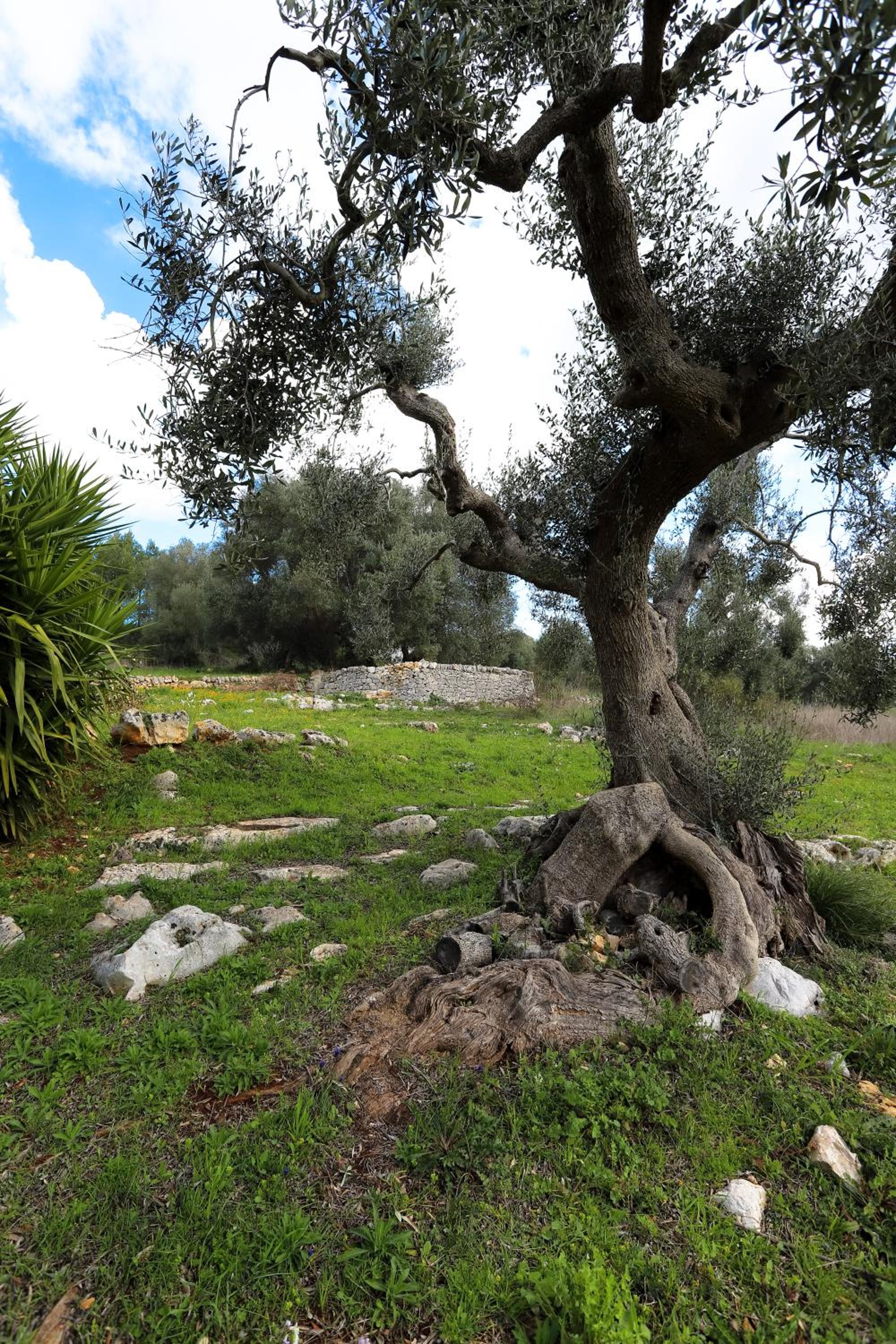 Photo 27