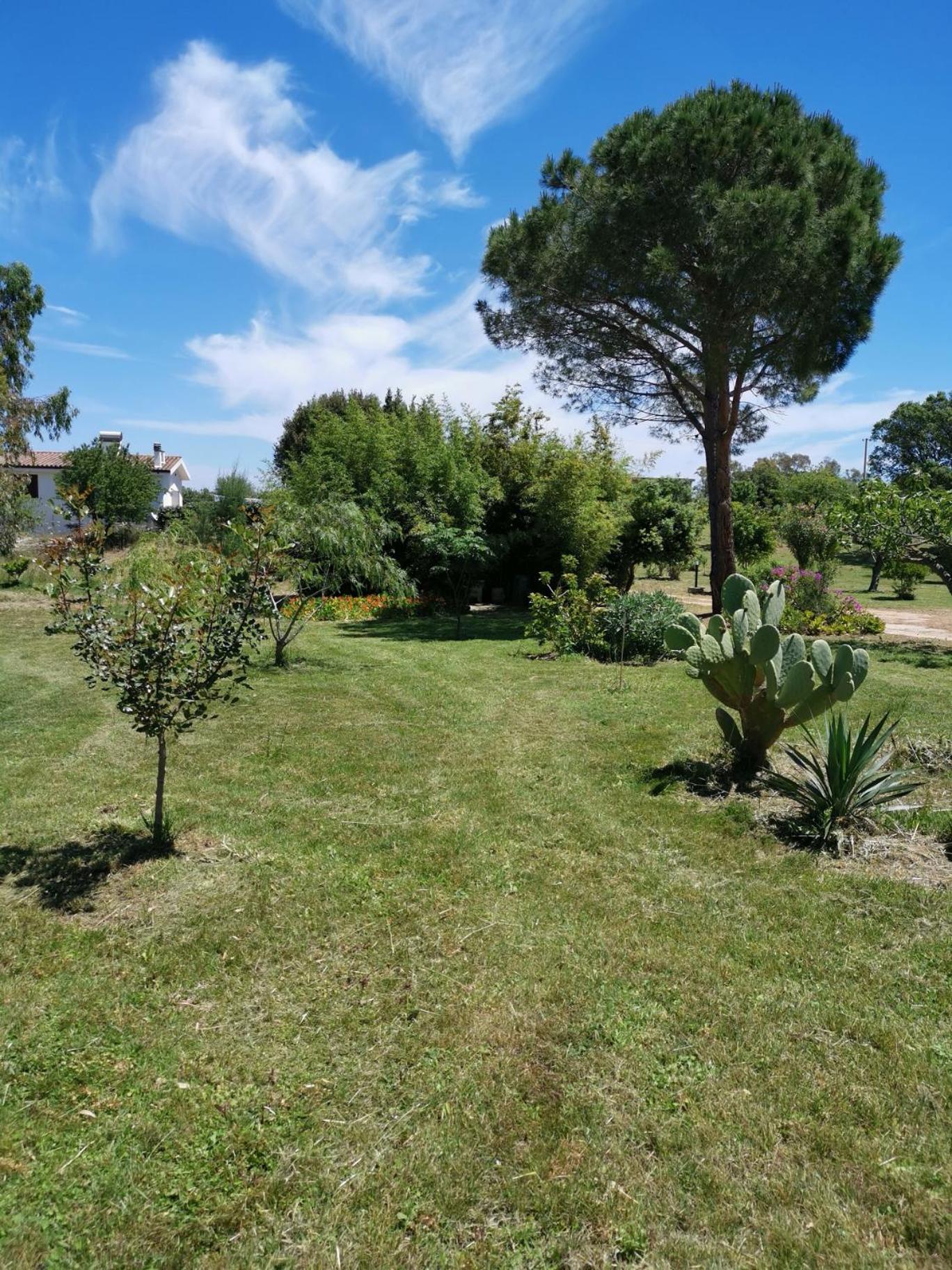 Home Garden view 5