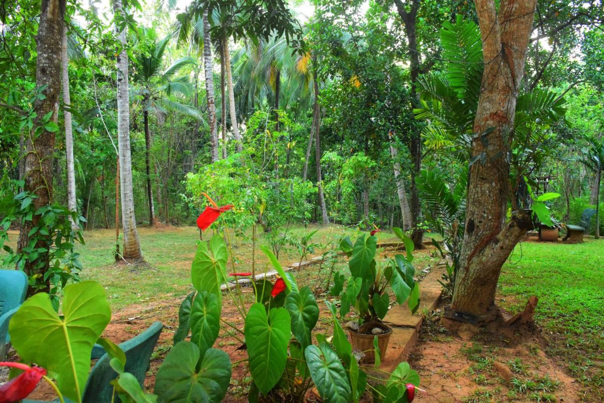 Leesa Villa Safari Resort view 5