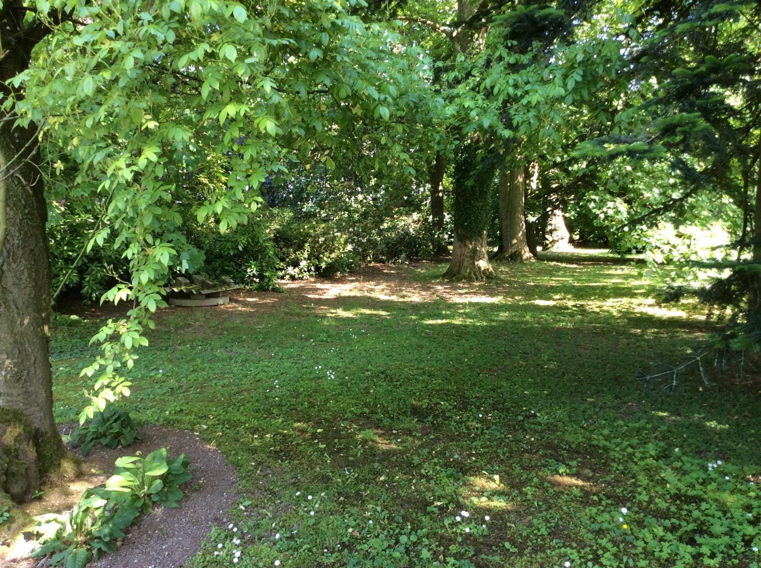 Photo 29
