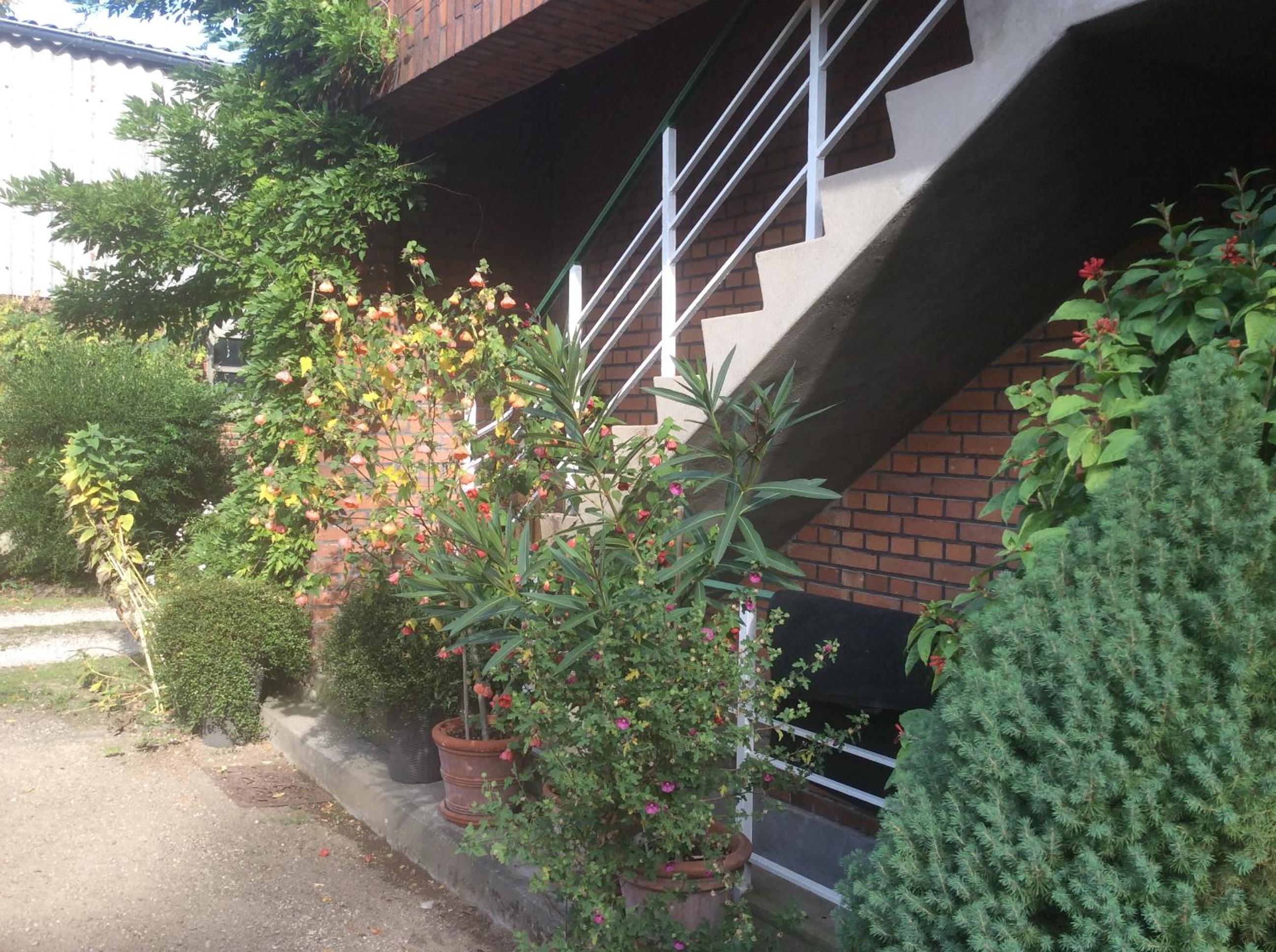 Photo 28