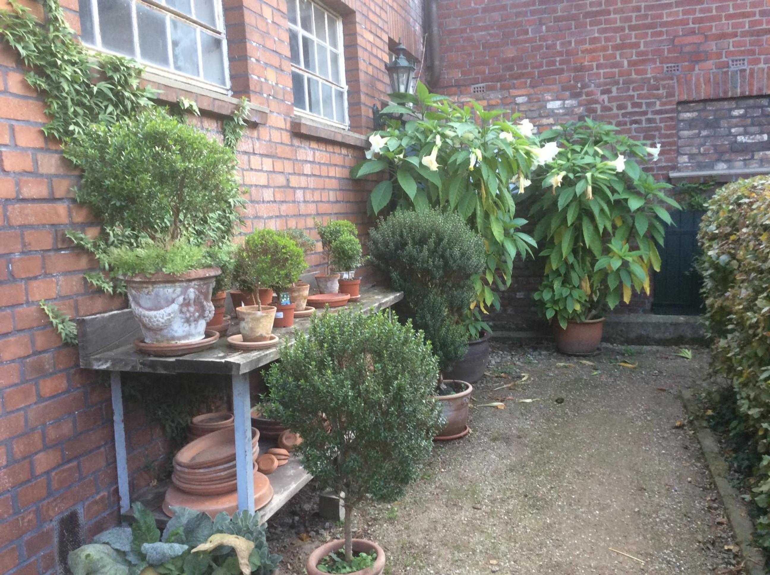 Photo 27