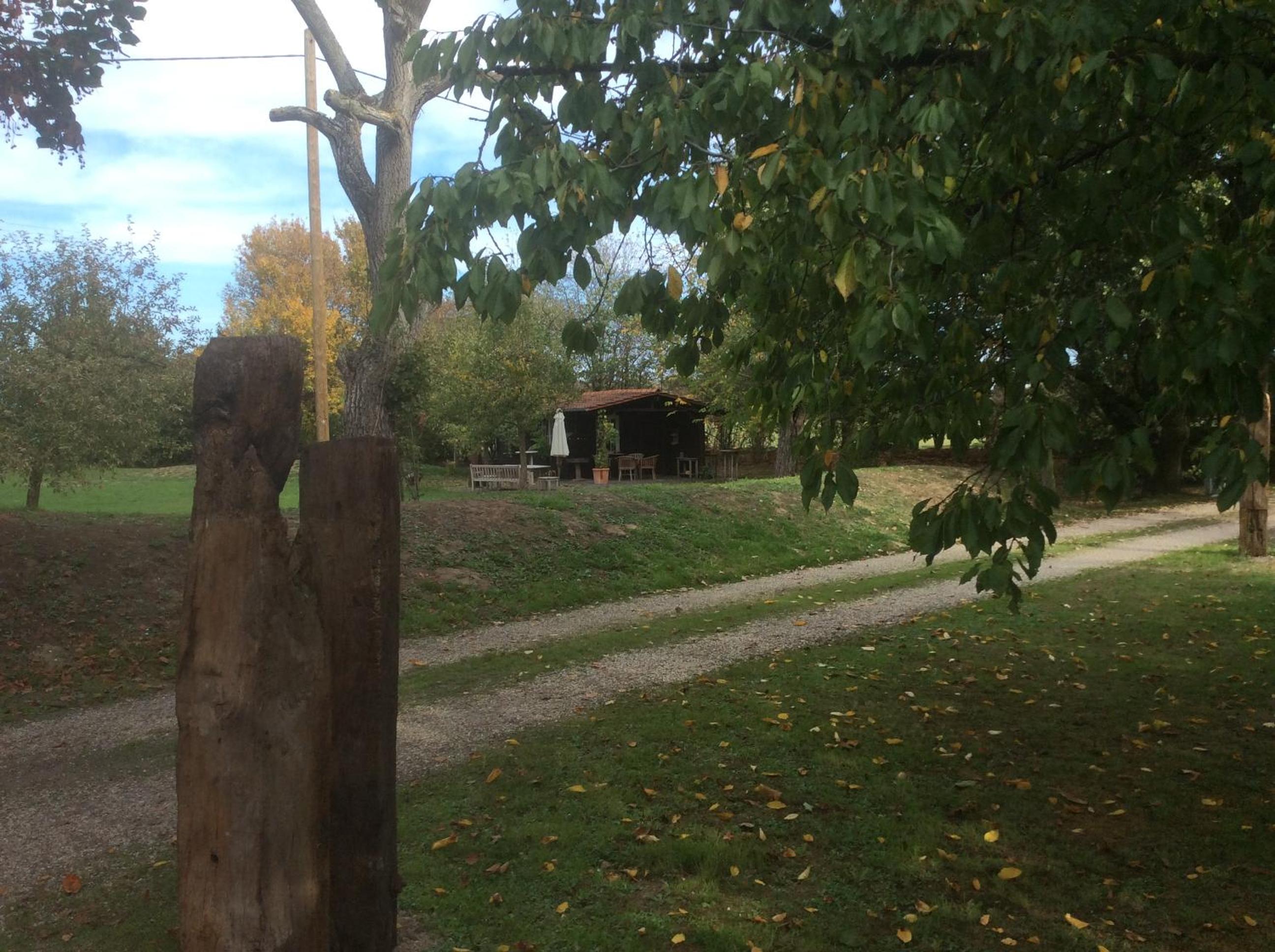 Photo 23