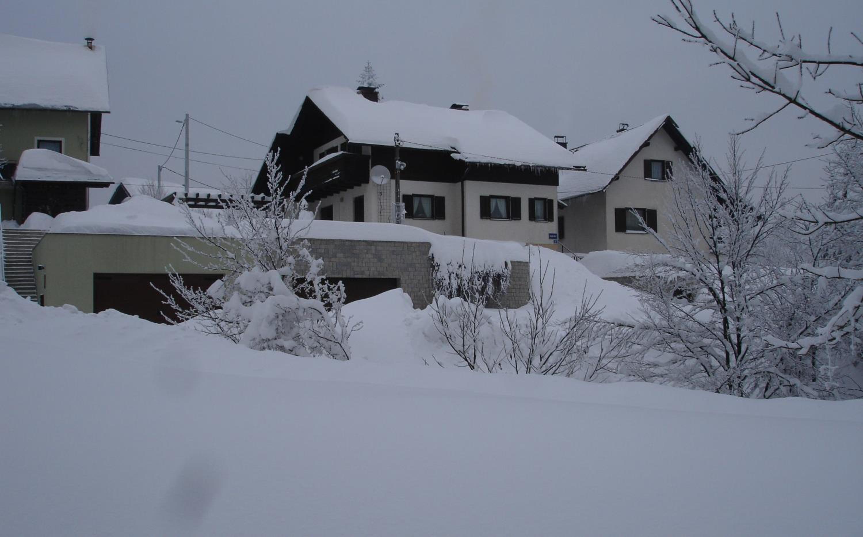 Photo 53