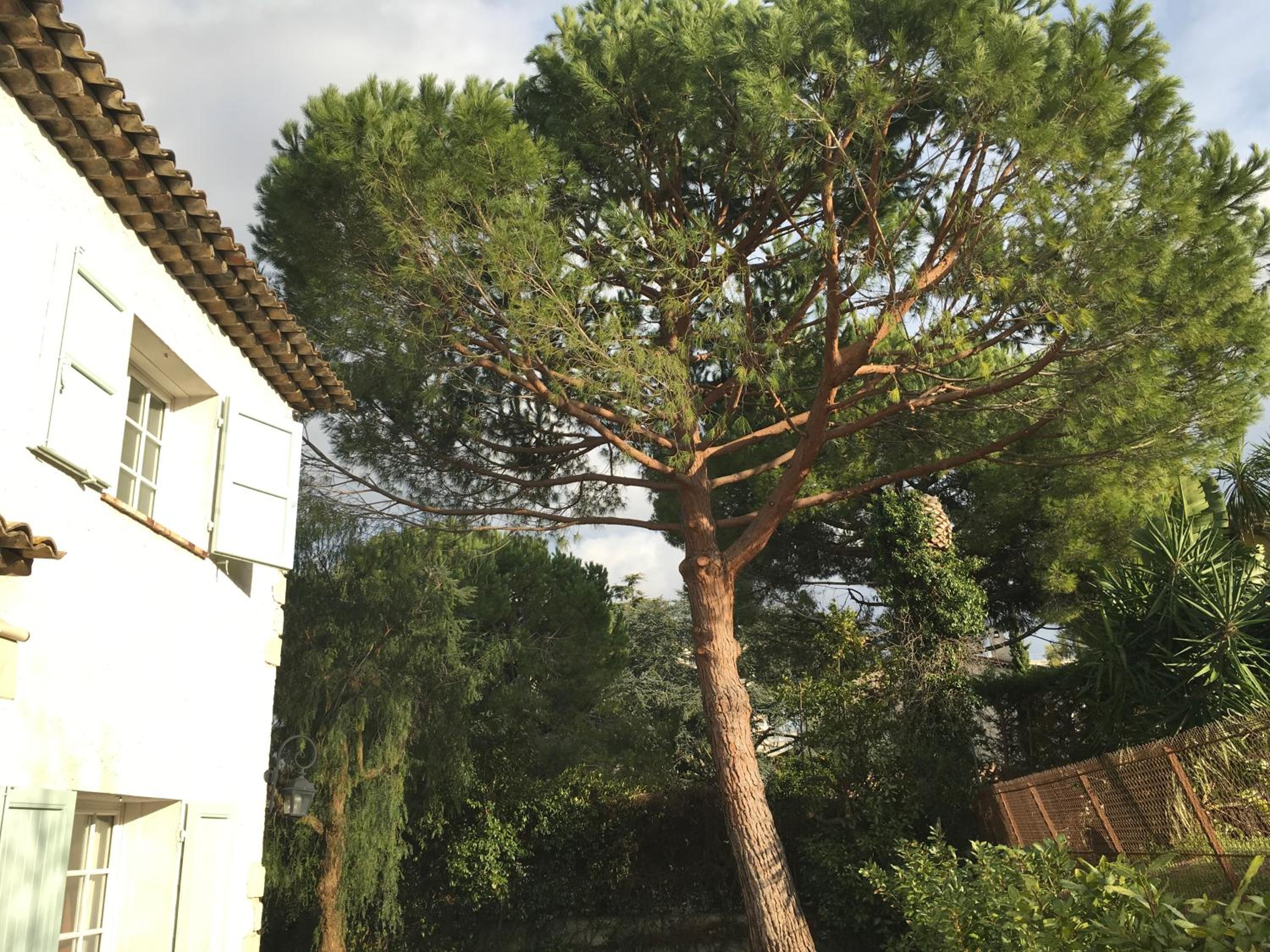 Villa Alessia