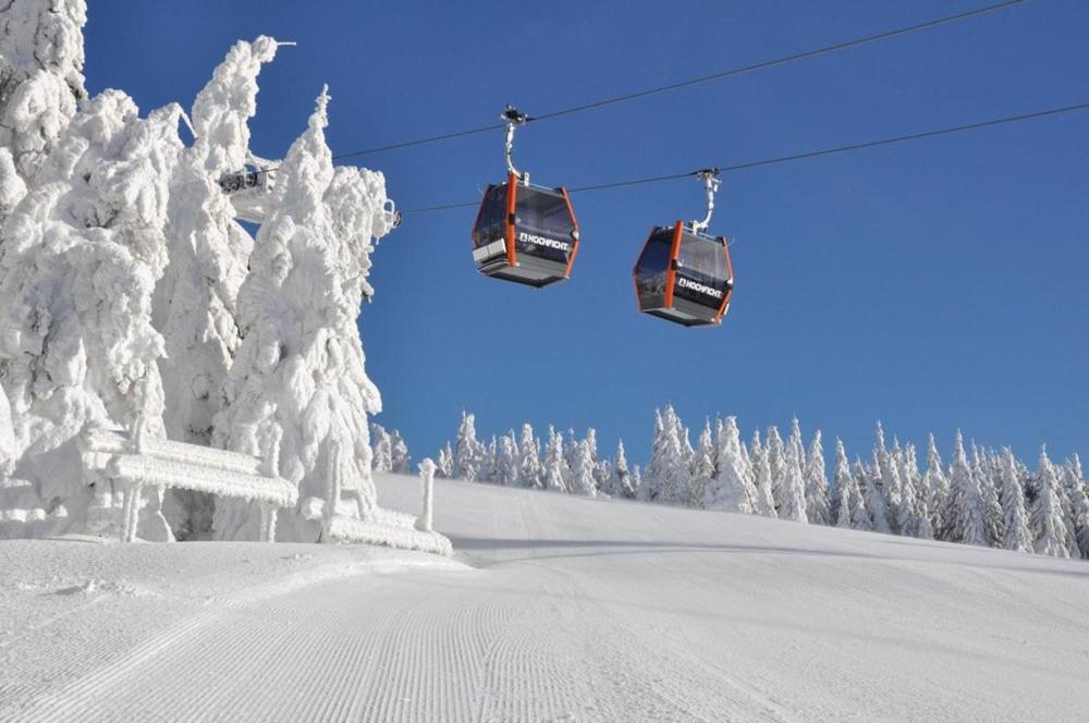 Apartmán Lipno G11