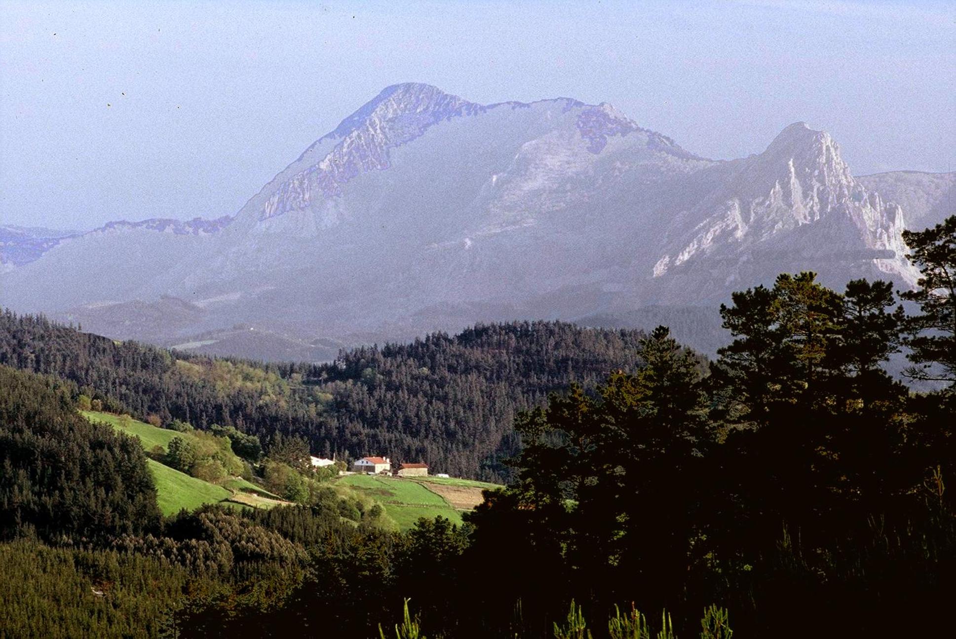 Photo 43
