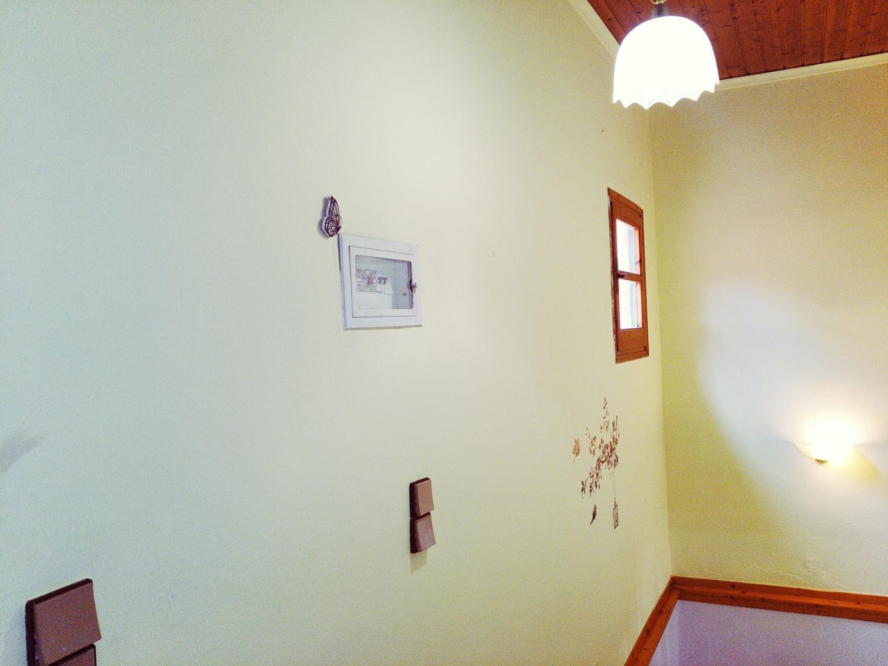 Photo 50