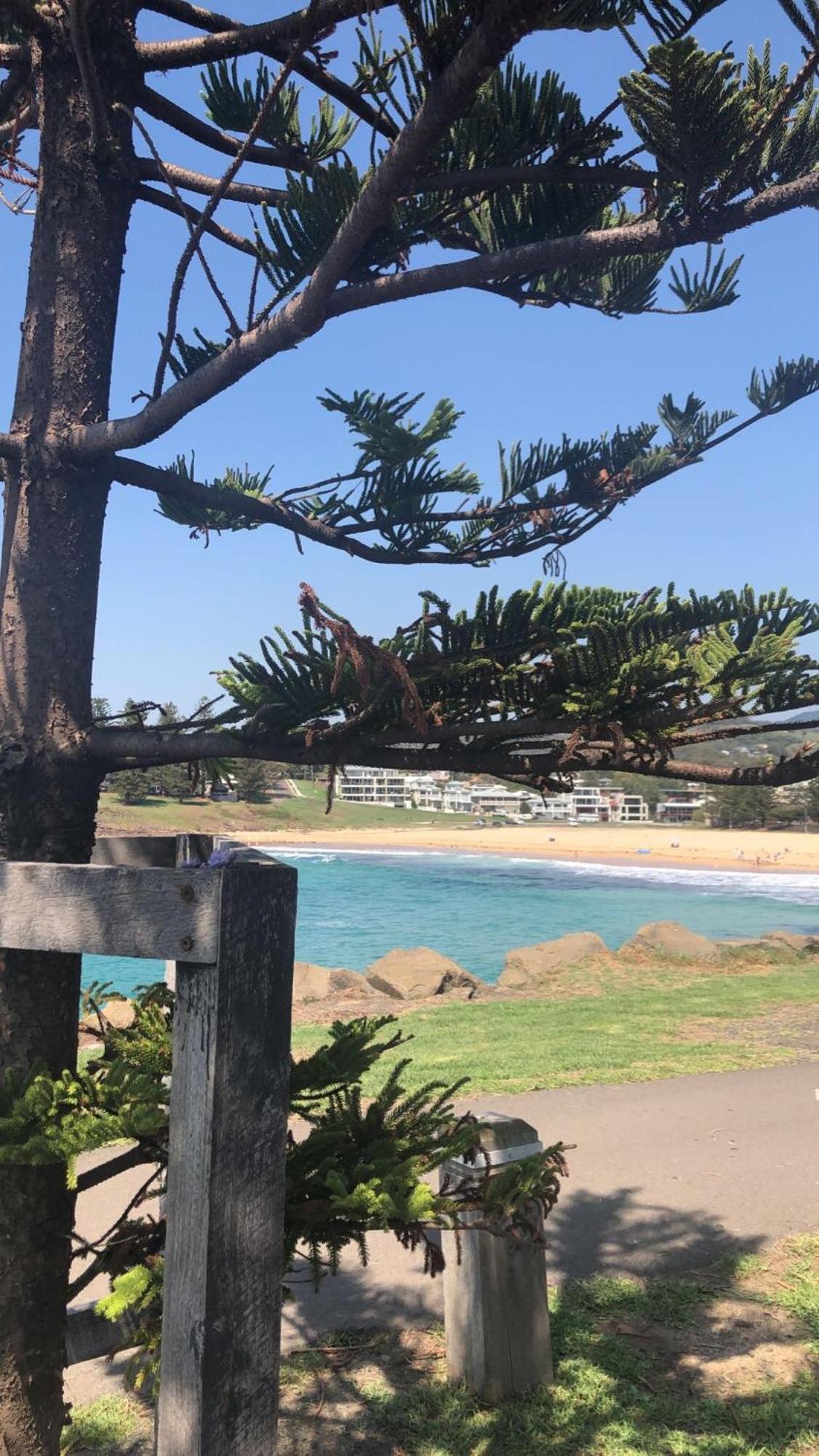 Oceanview Kiama luxury on the beach