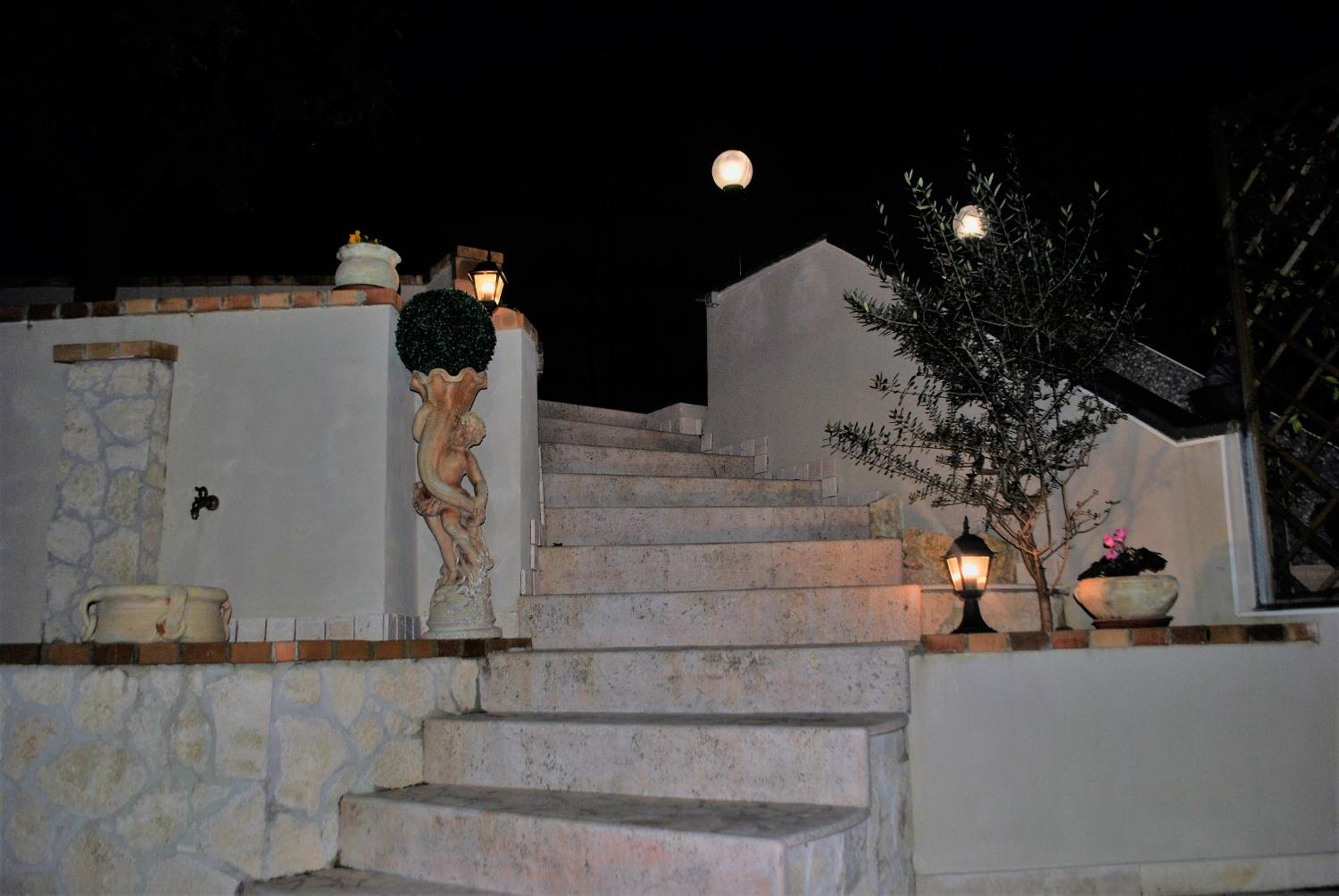 Photo 32