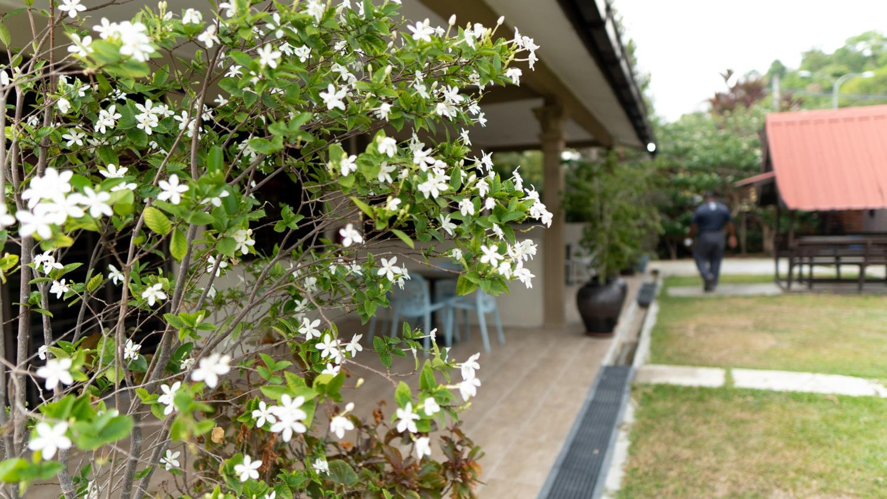 Pemandangan Indah Guest House - Look Out Point Villa-