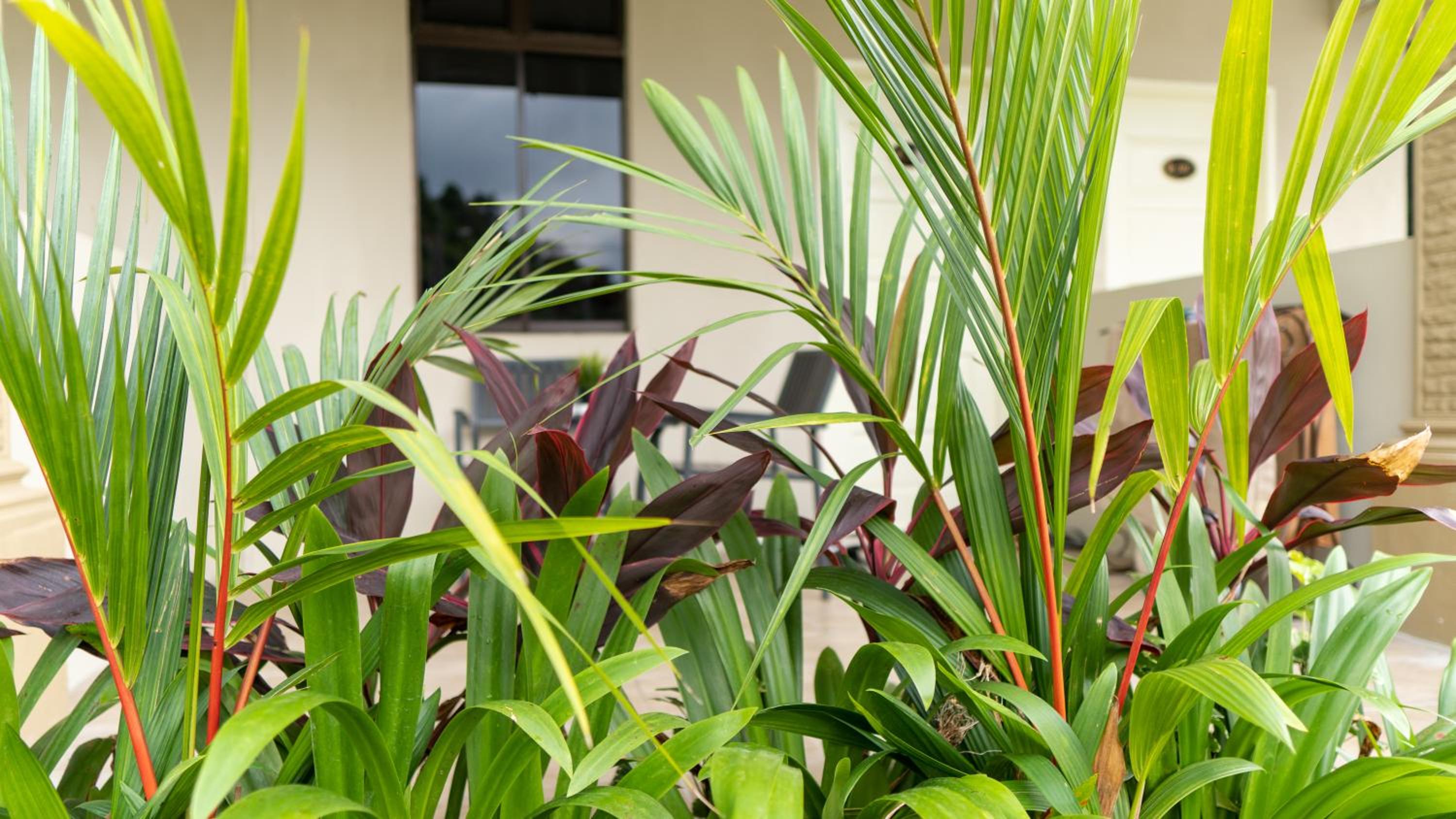 Pemandangan Indah Guest House - Look Out Point Villa-