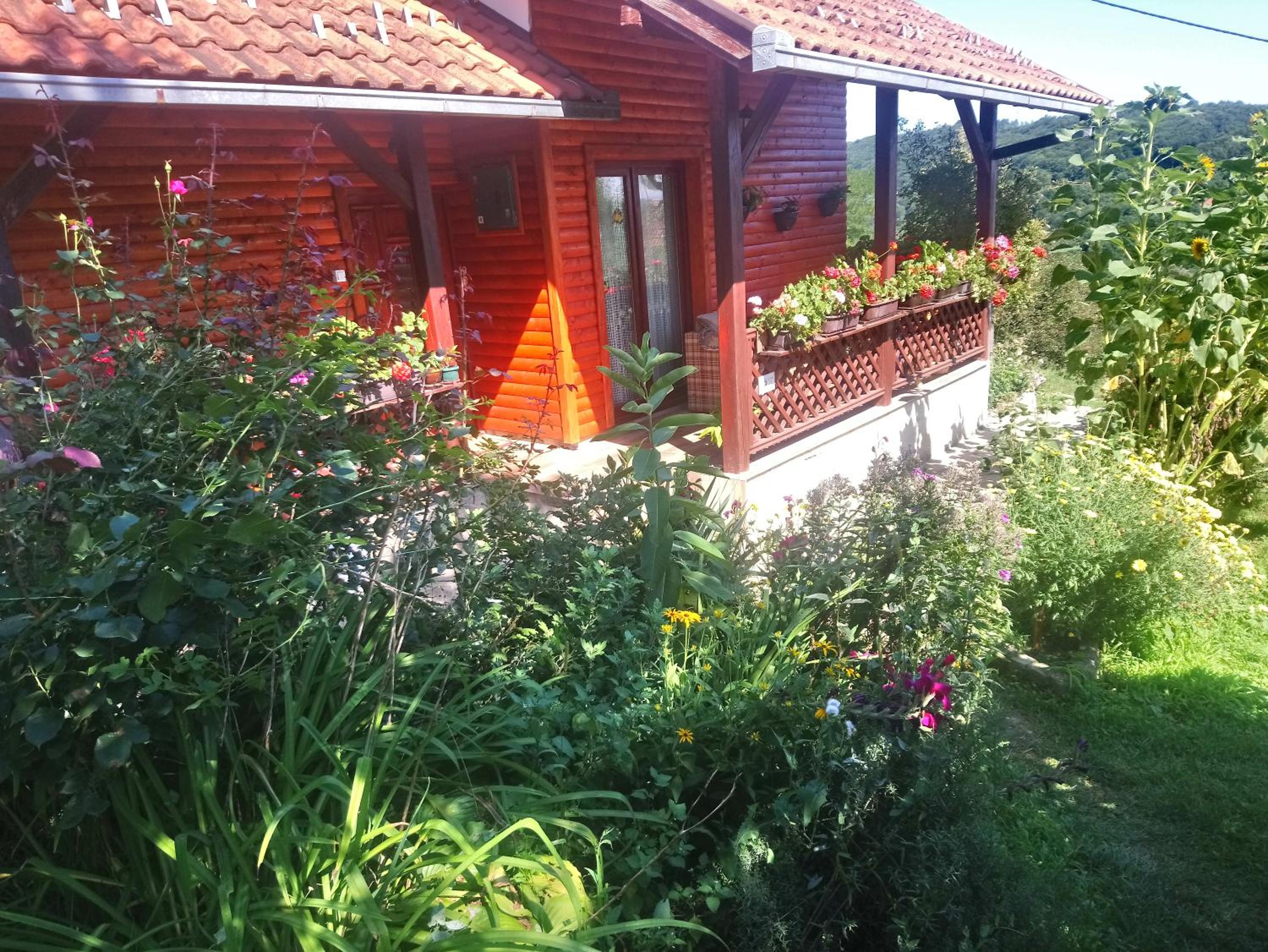 Photo 15
