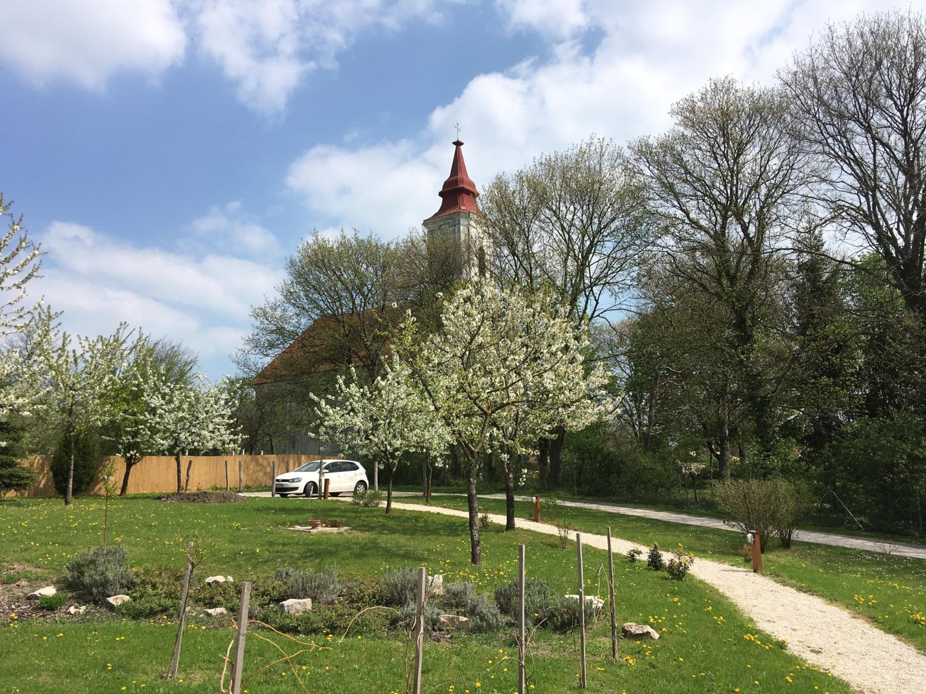 Photo 17