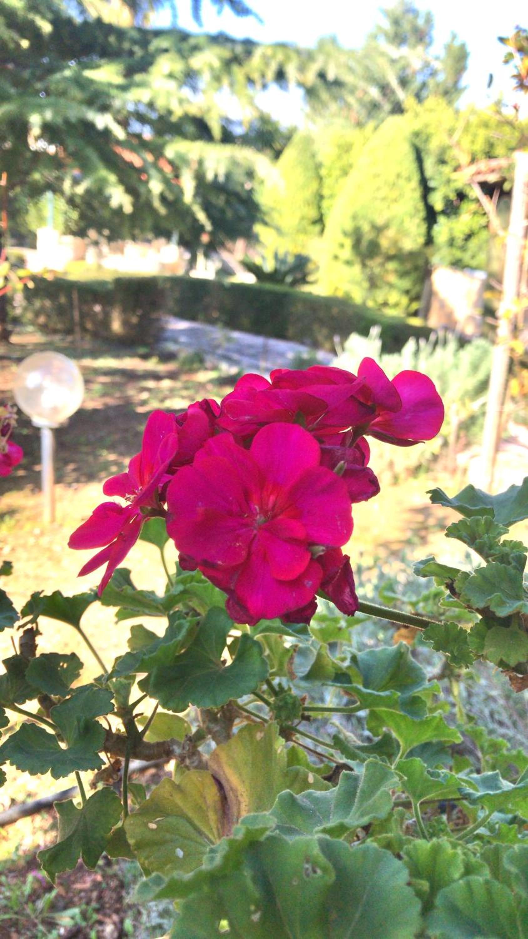 Villa Ioanna view 3