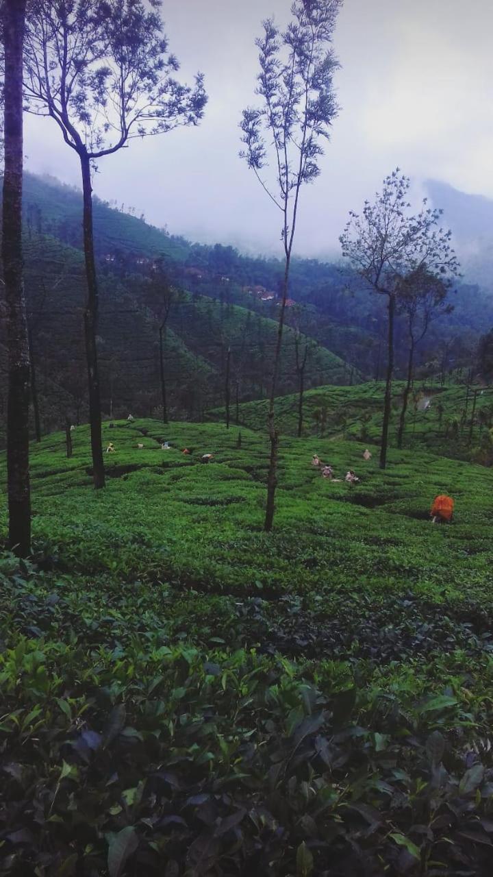 Meghagiri homestay view 3