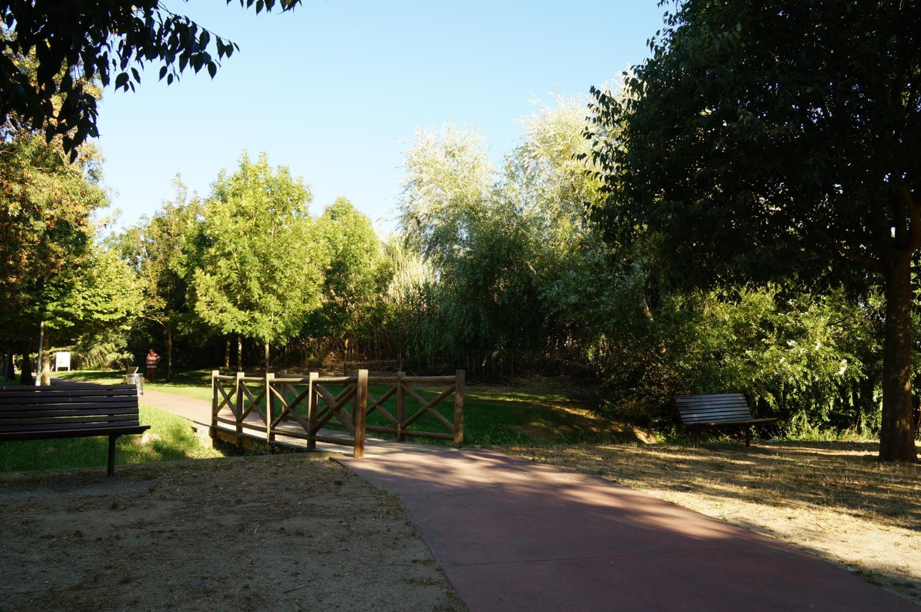 Photo 37