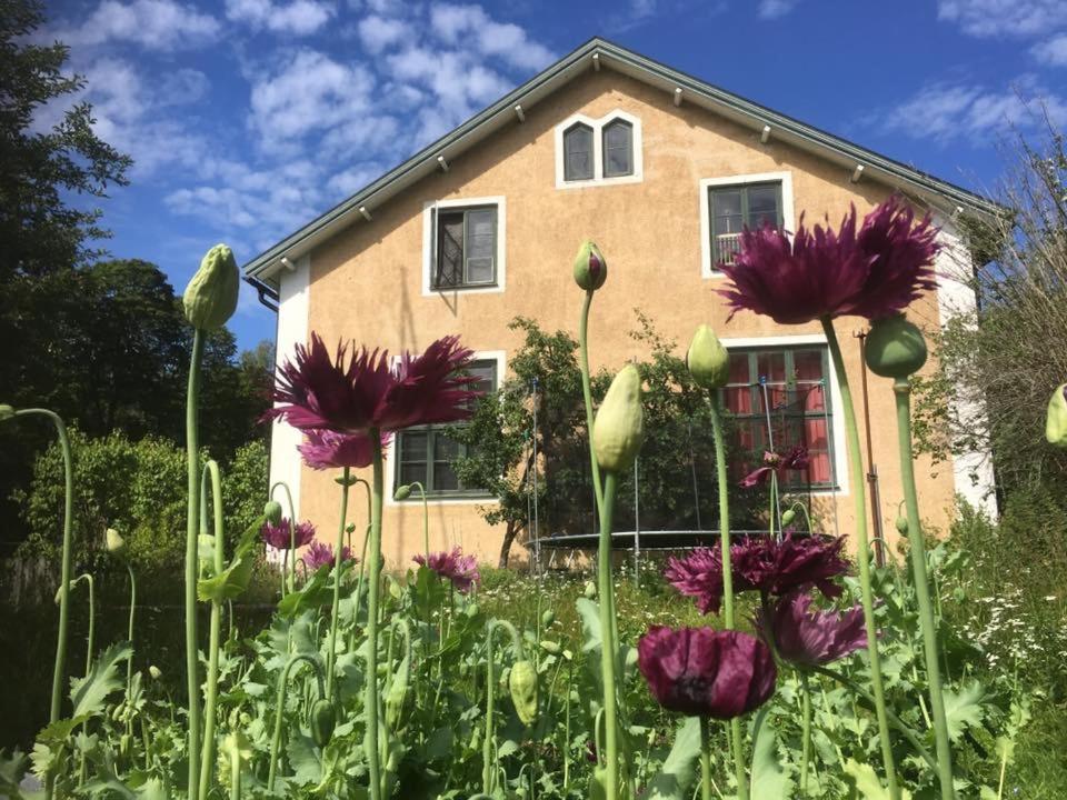 Baggå Skola BnB & Café