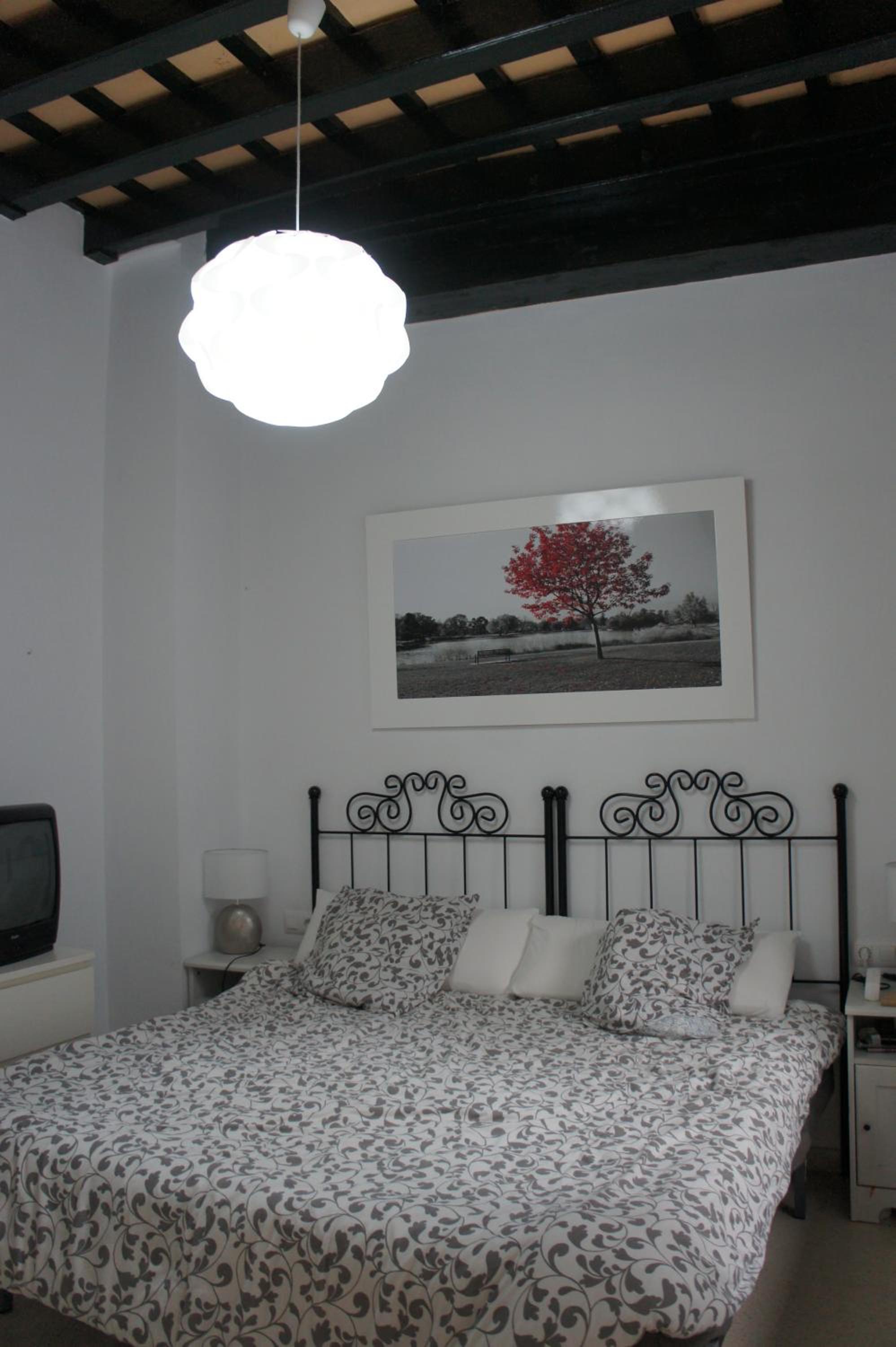 Apartamento muy bien situado en el centro de Cádiz y al lado de la playa photo 5