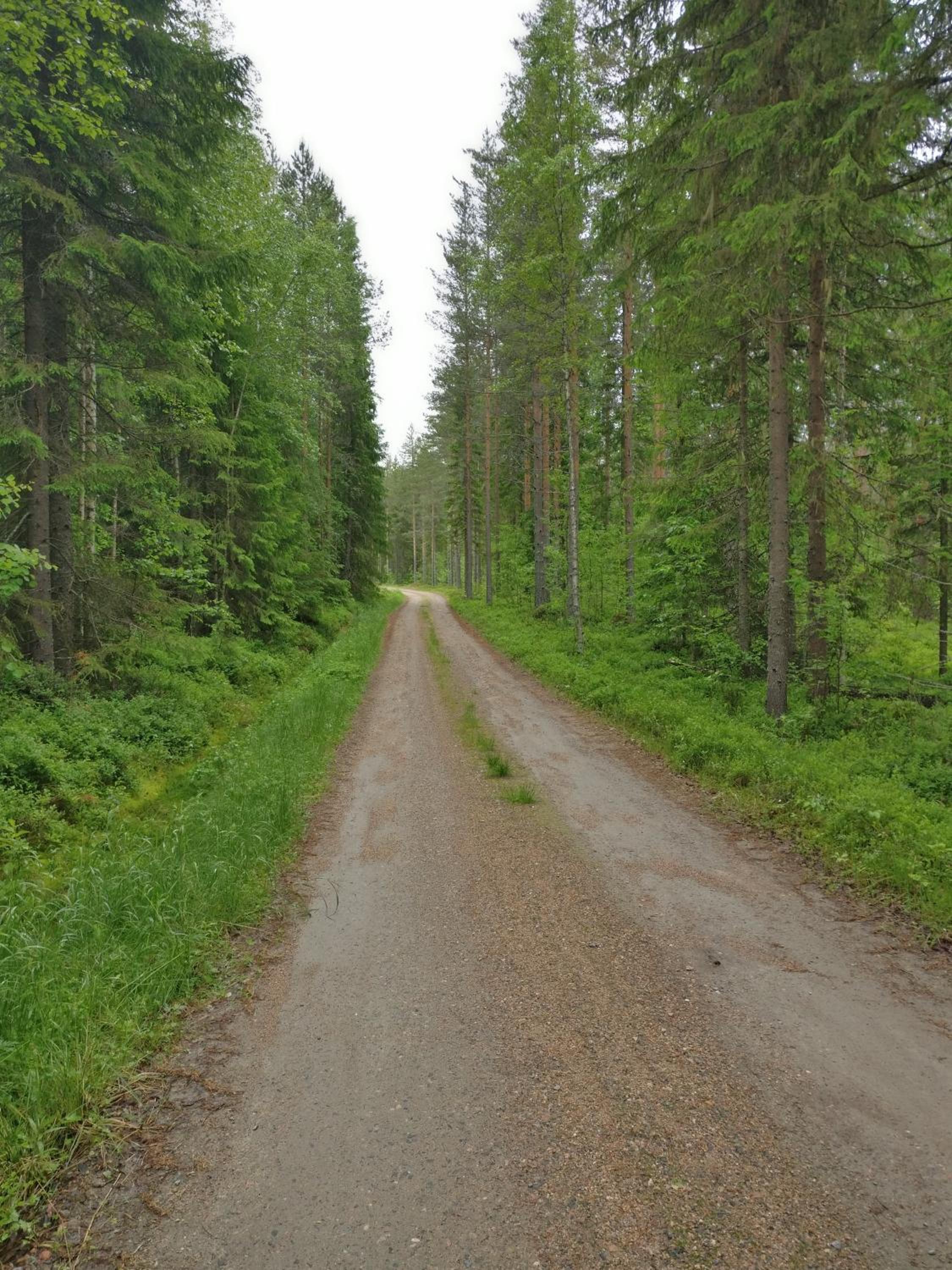 Photo 31