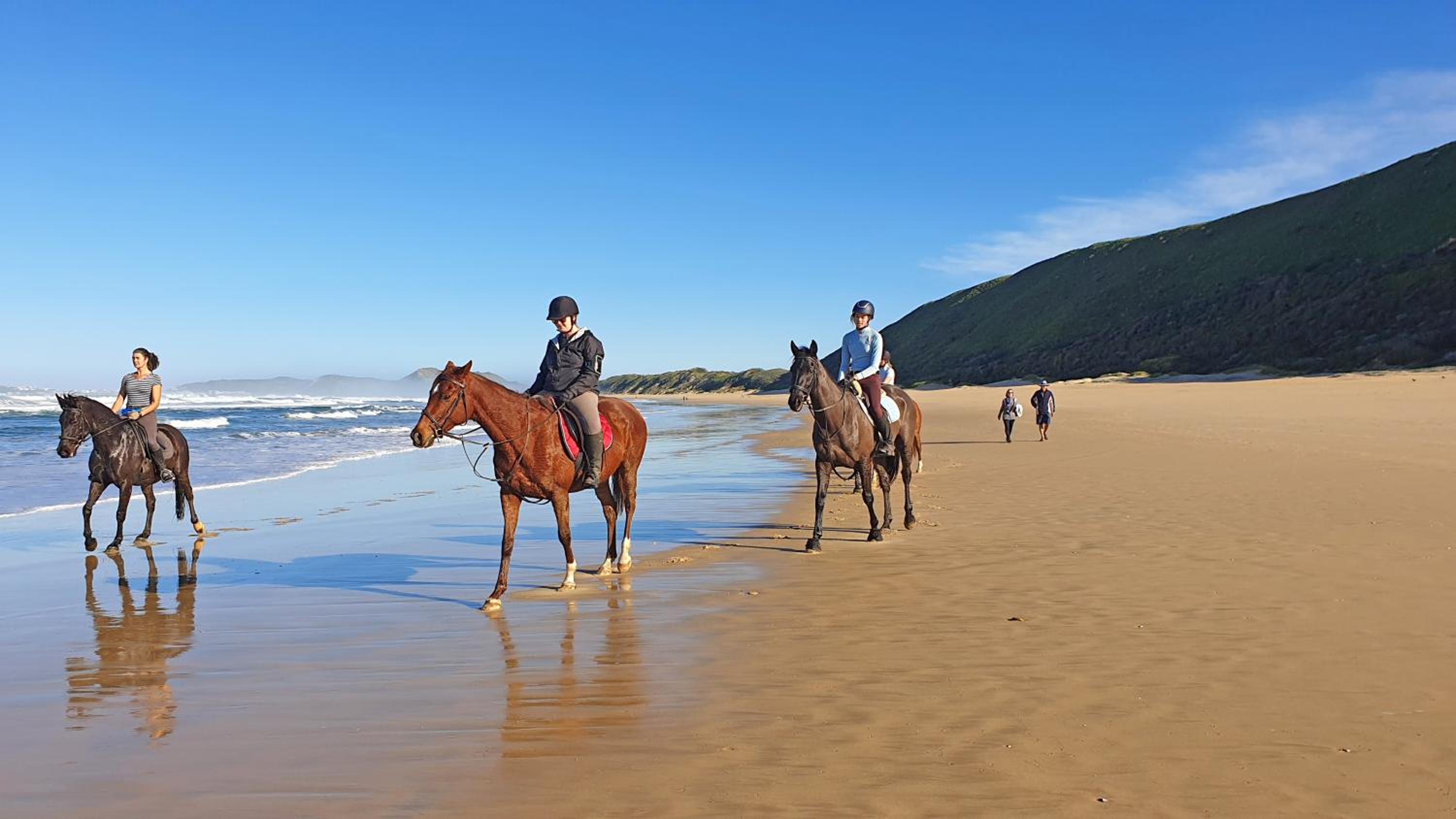 Brenton Haven Beachfront Resort