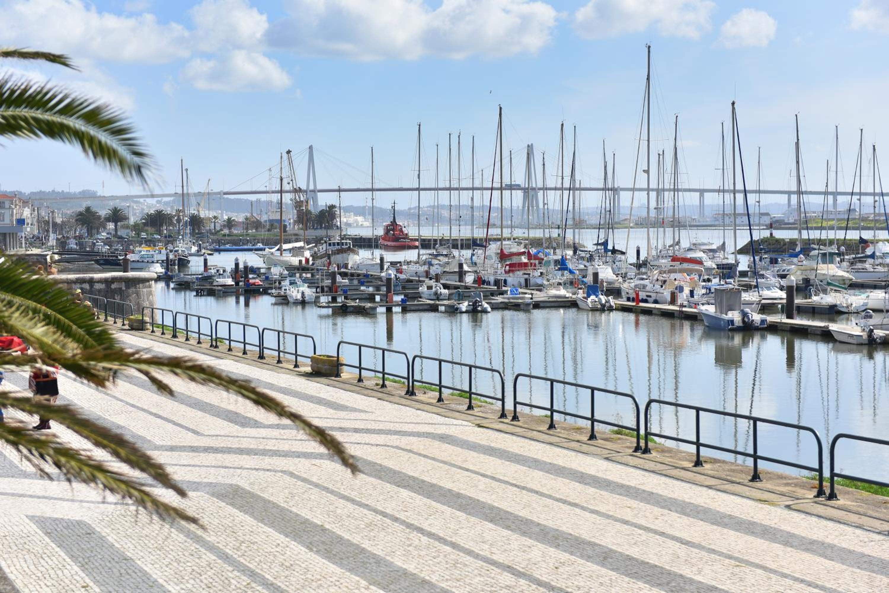 Maestro Apartment by Trip2Portugal view 5