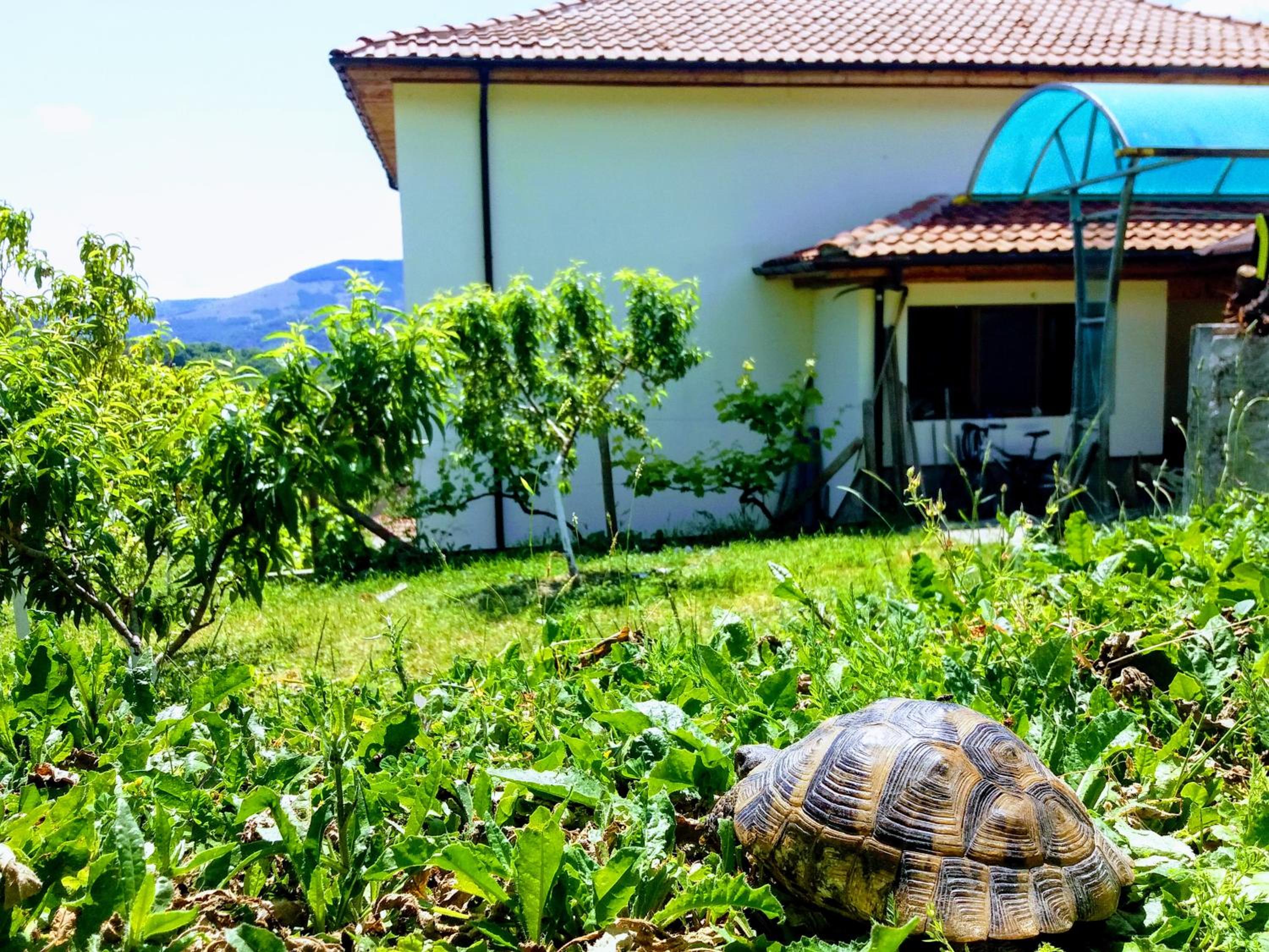 Mihaela Lake Retreat