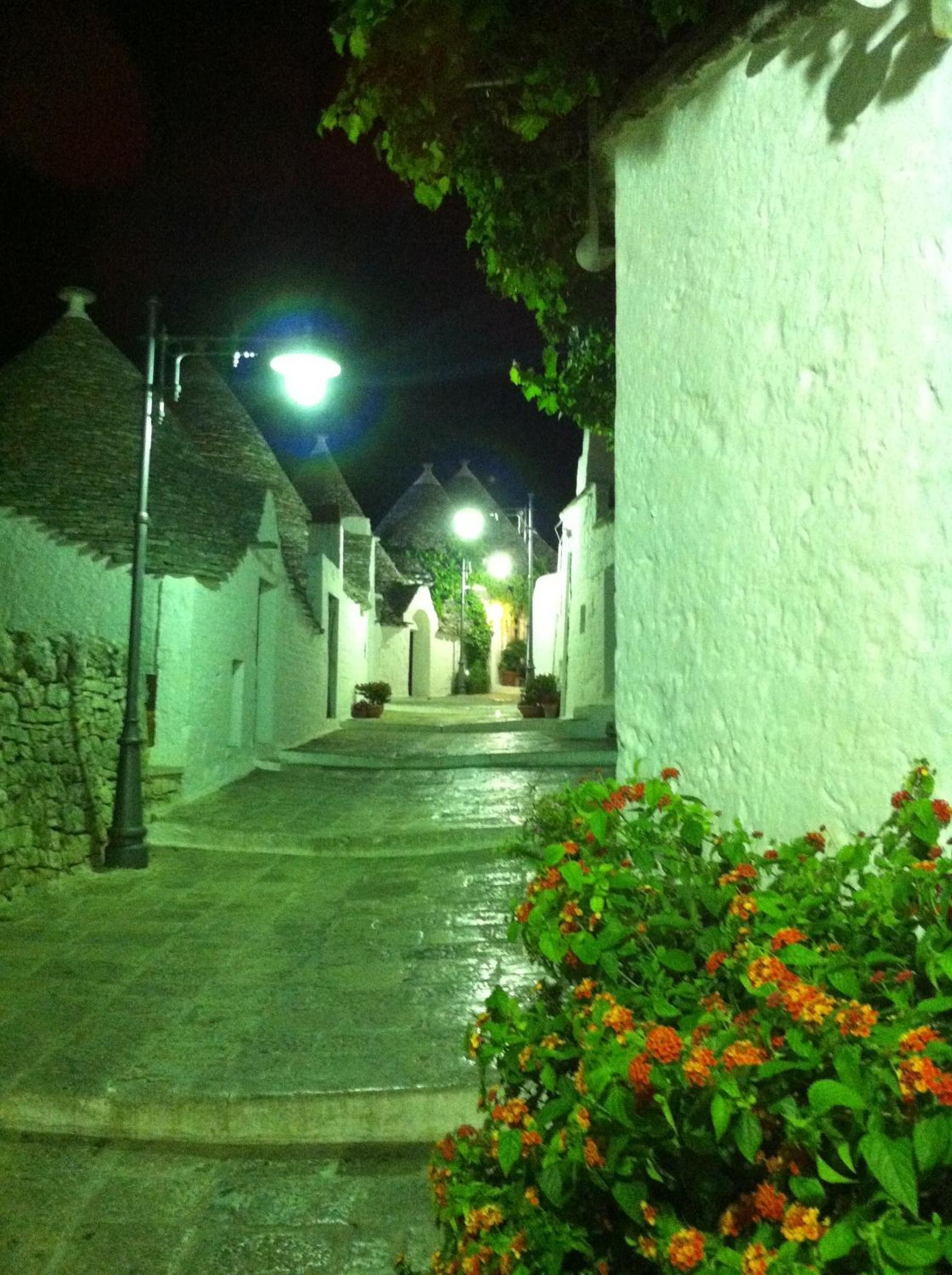Photo 47