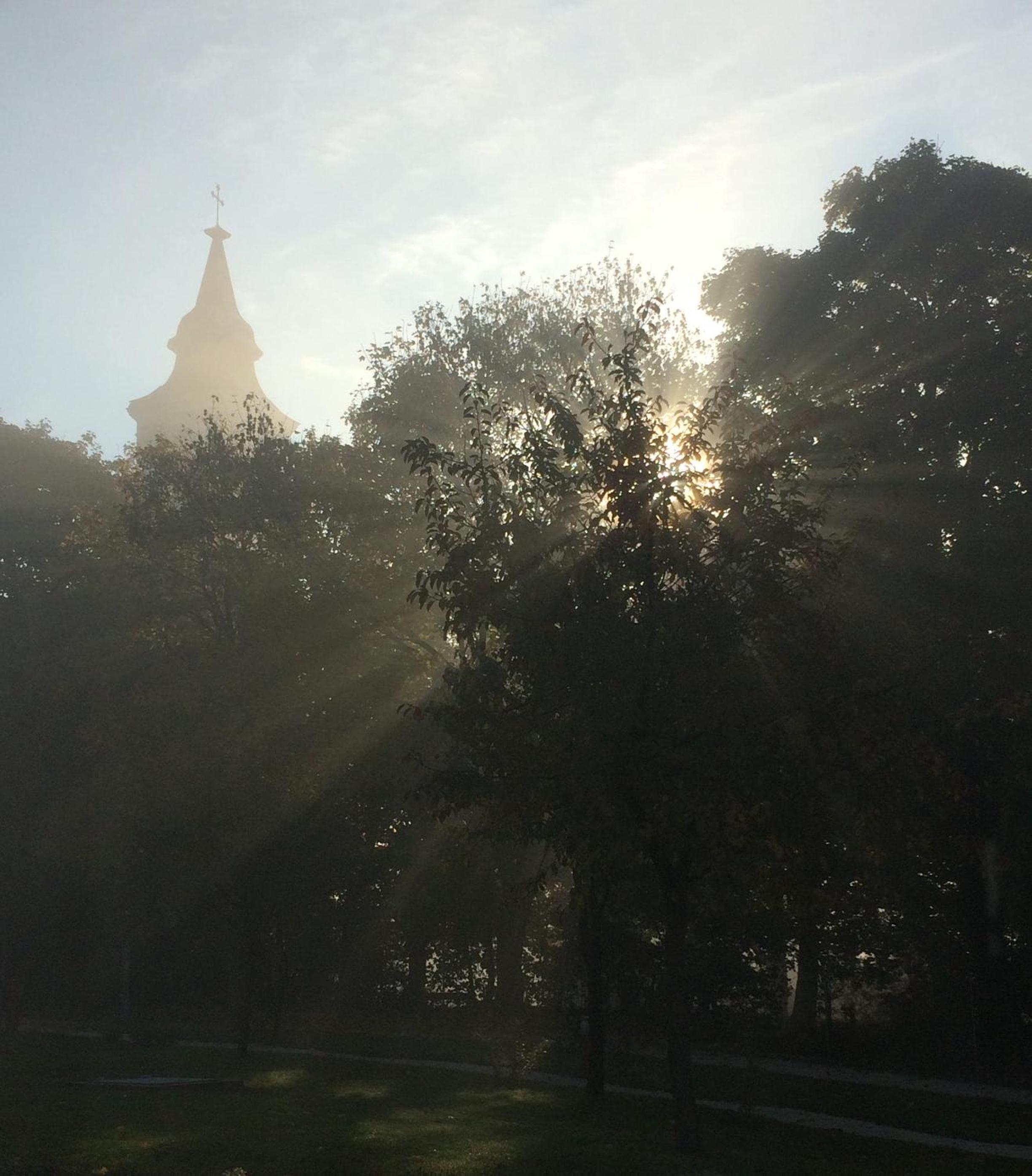 Photo 11