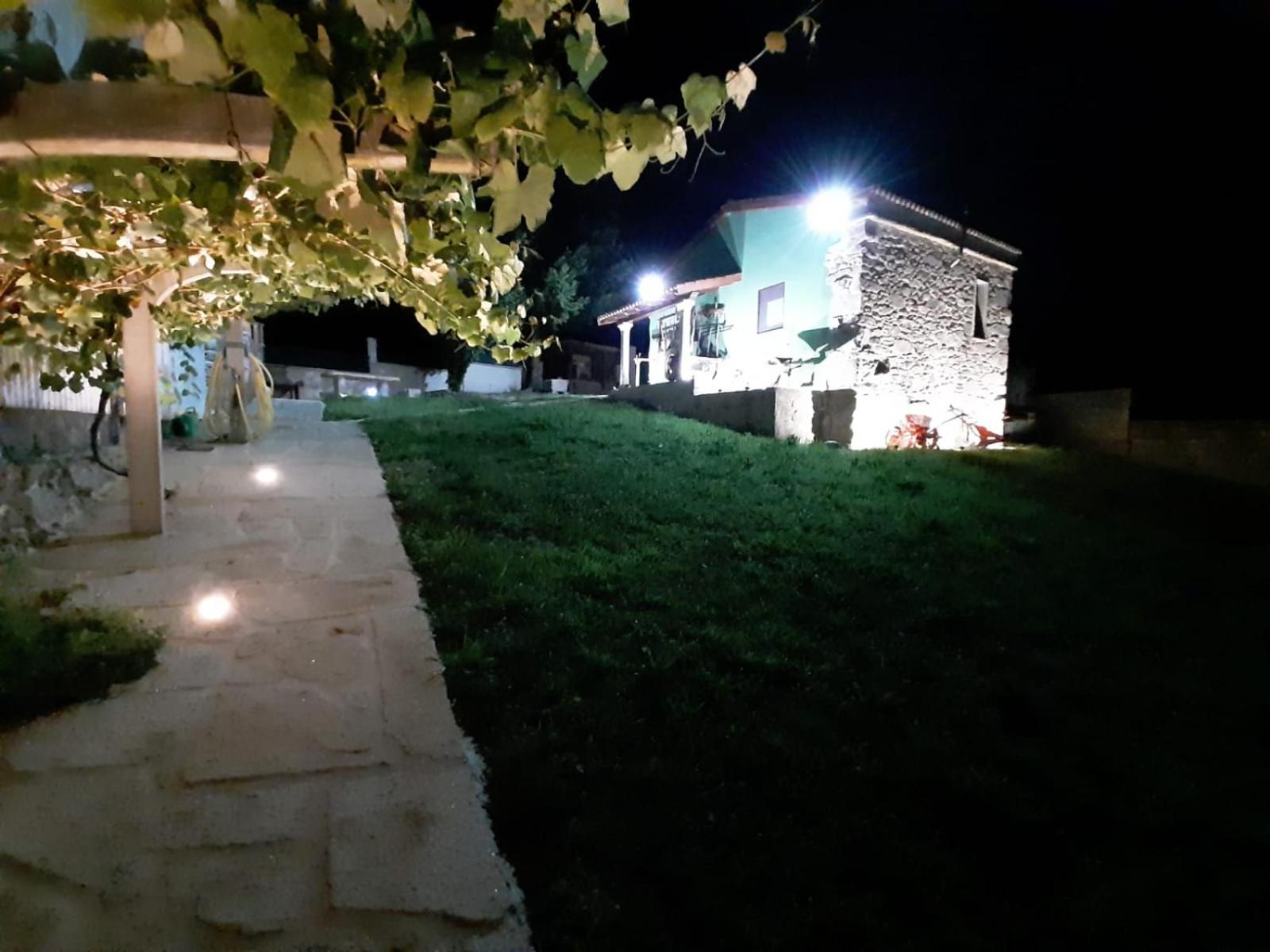 Photo 41