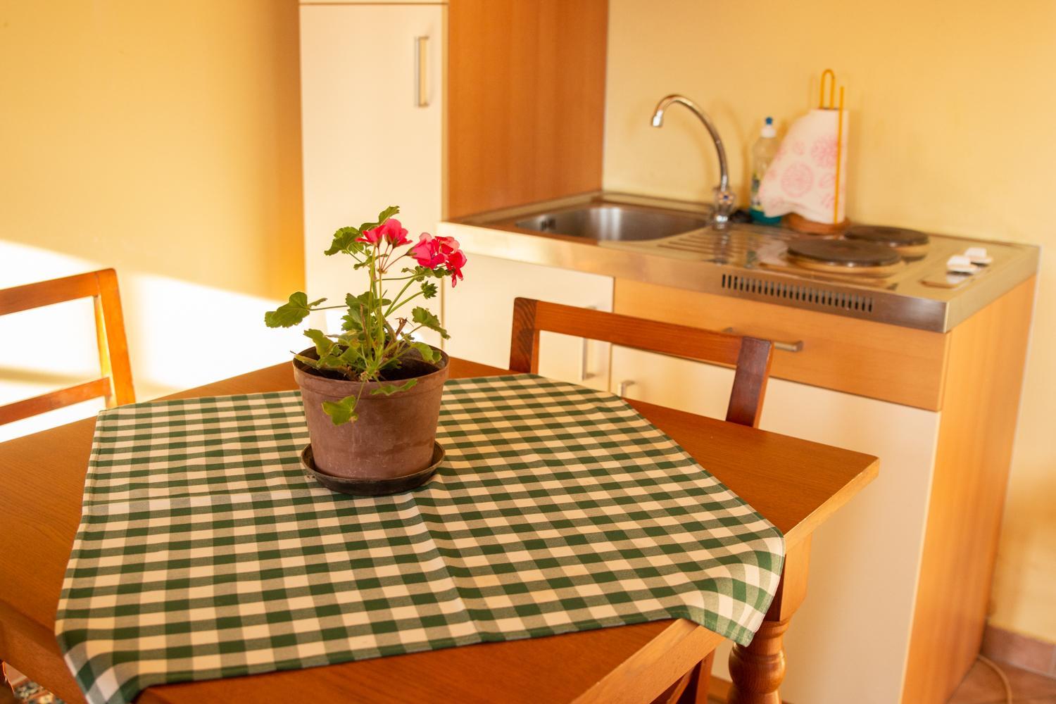 Turistična kmetija Vrezner Apartment view 2