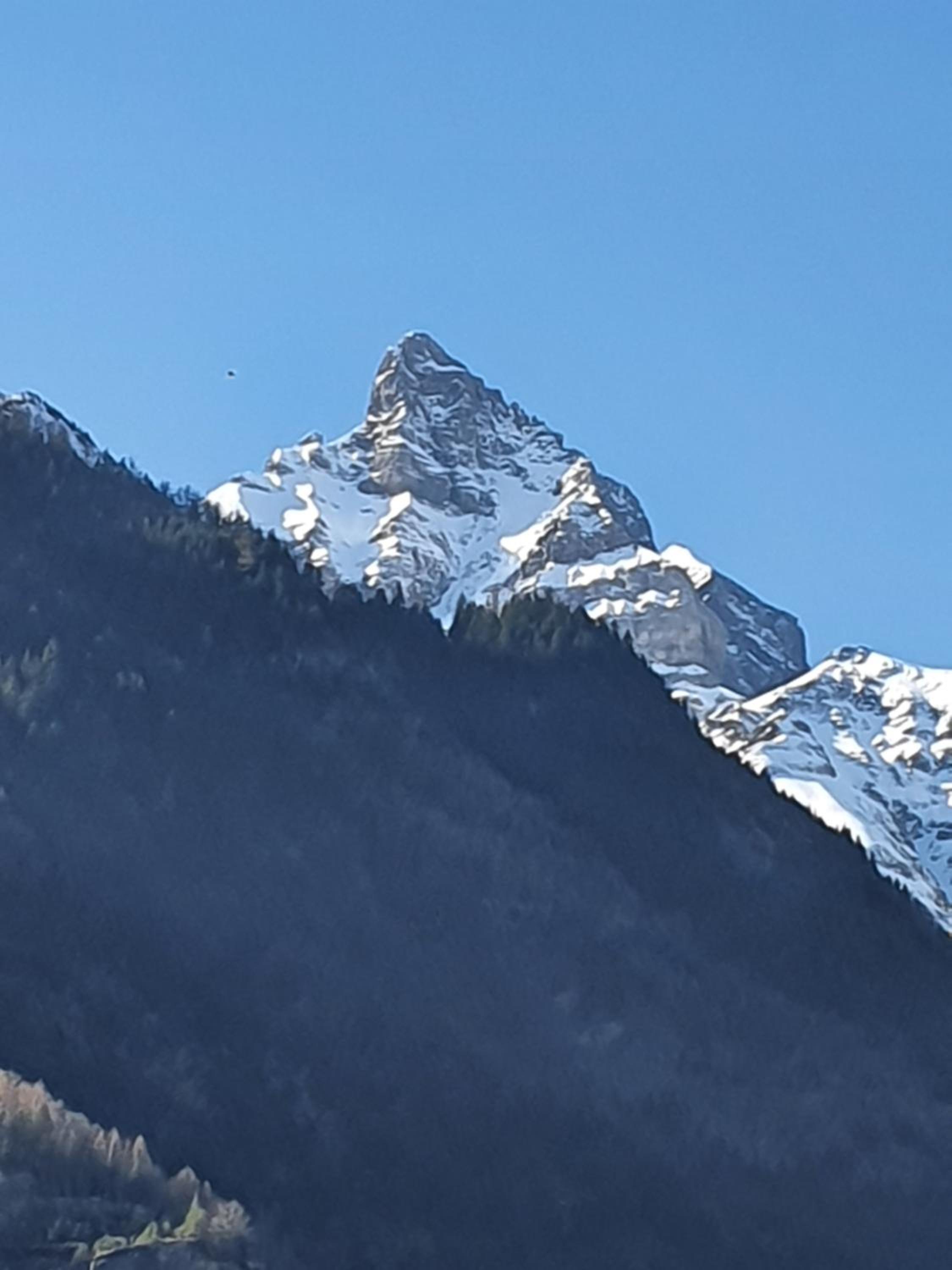Appartement Cime l'Est