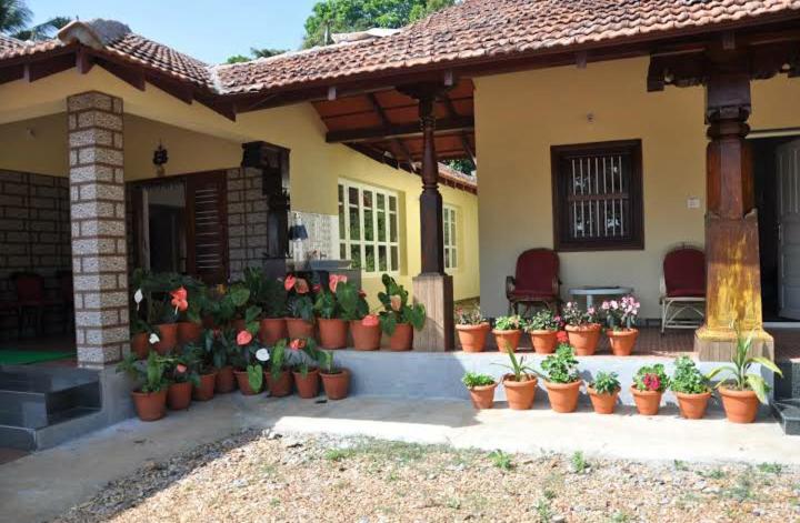 Meghagiri homestay view 4