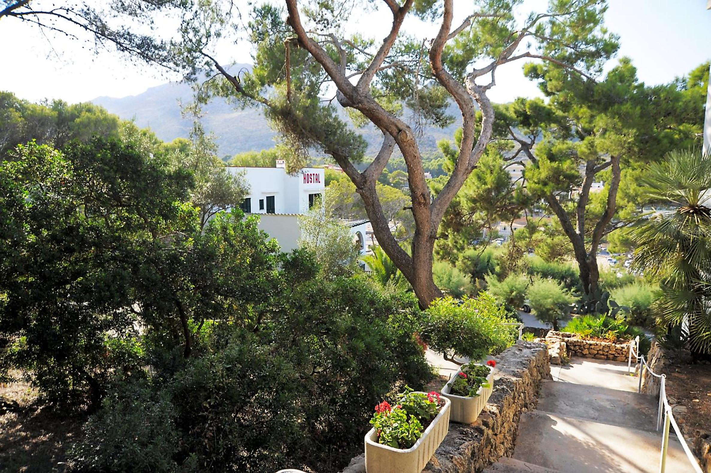 Hostal Los Pinos