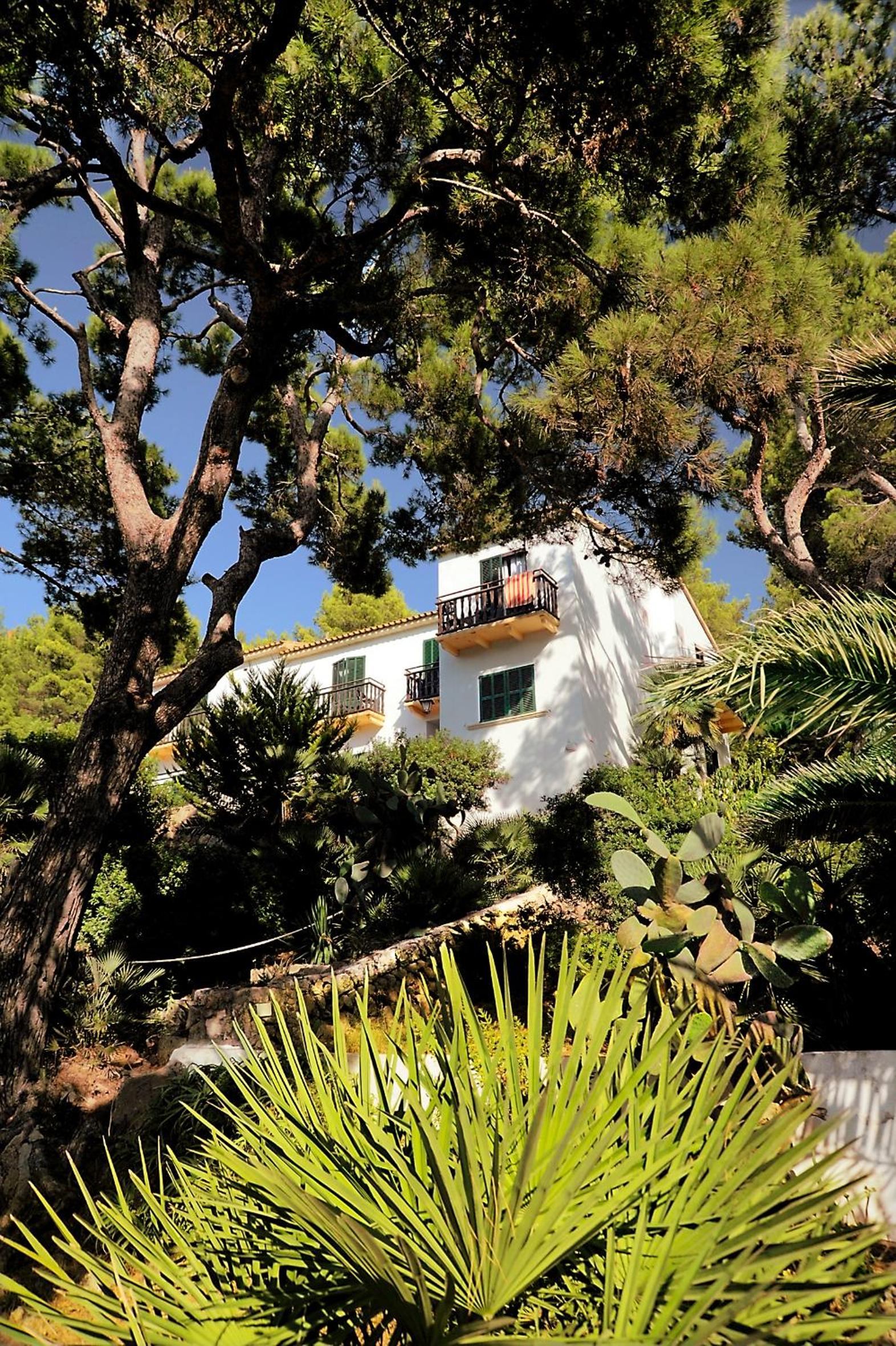 Hostal Los Pinos