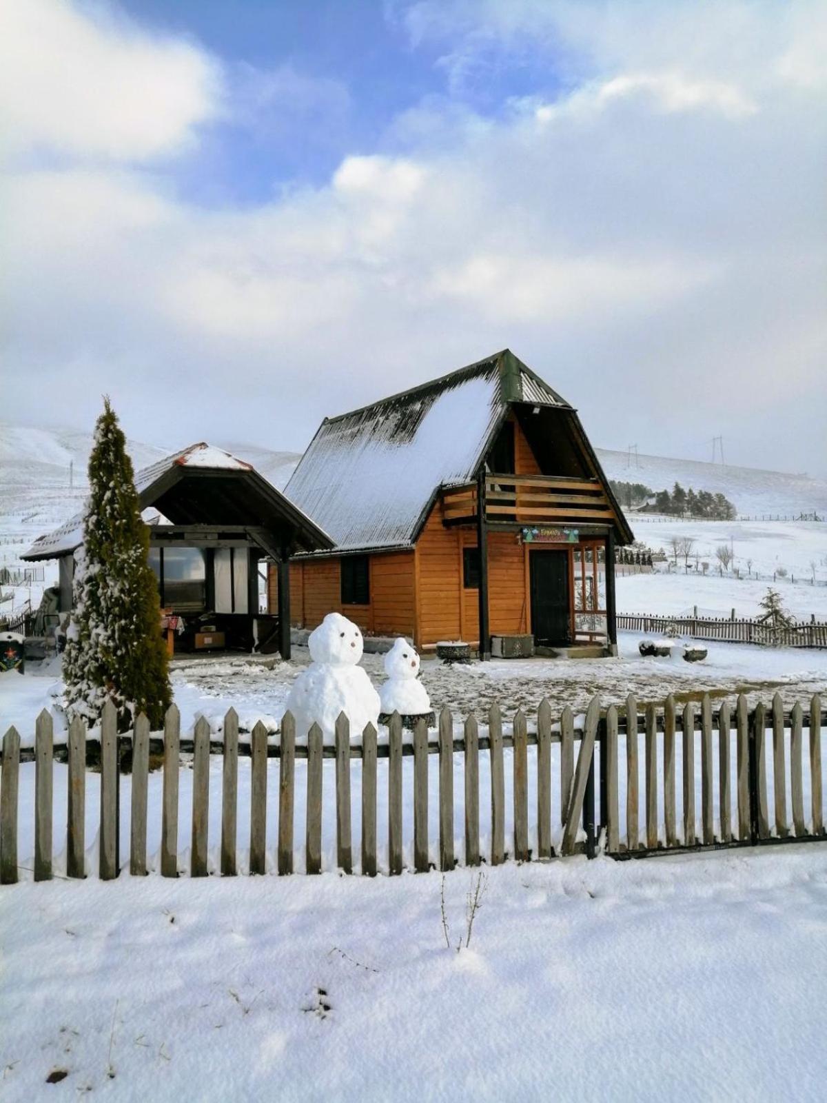 Brvnara Zlatiborka view 3