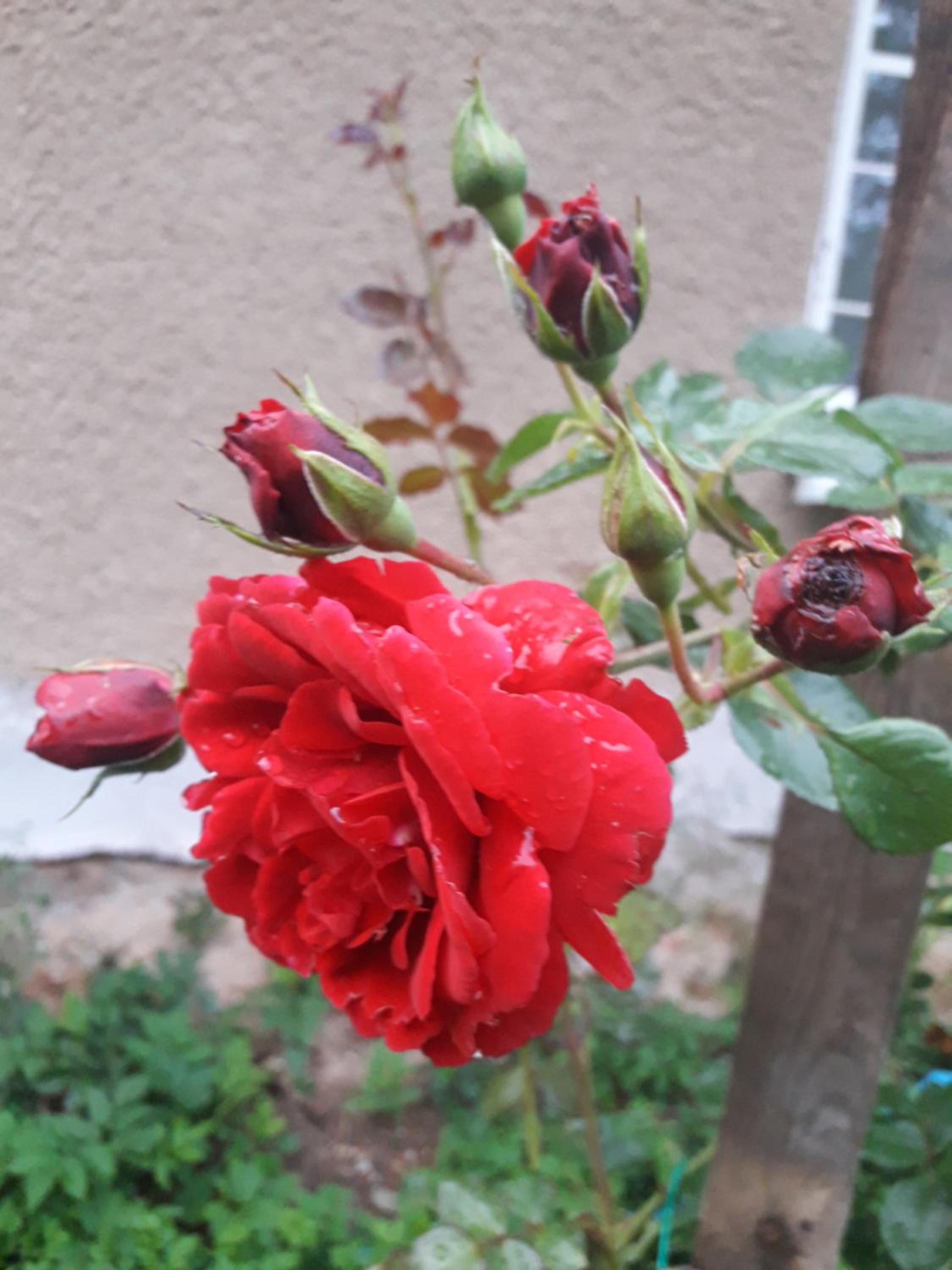Photo 32