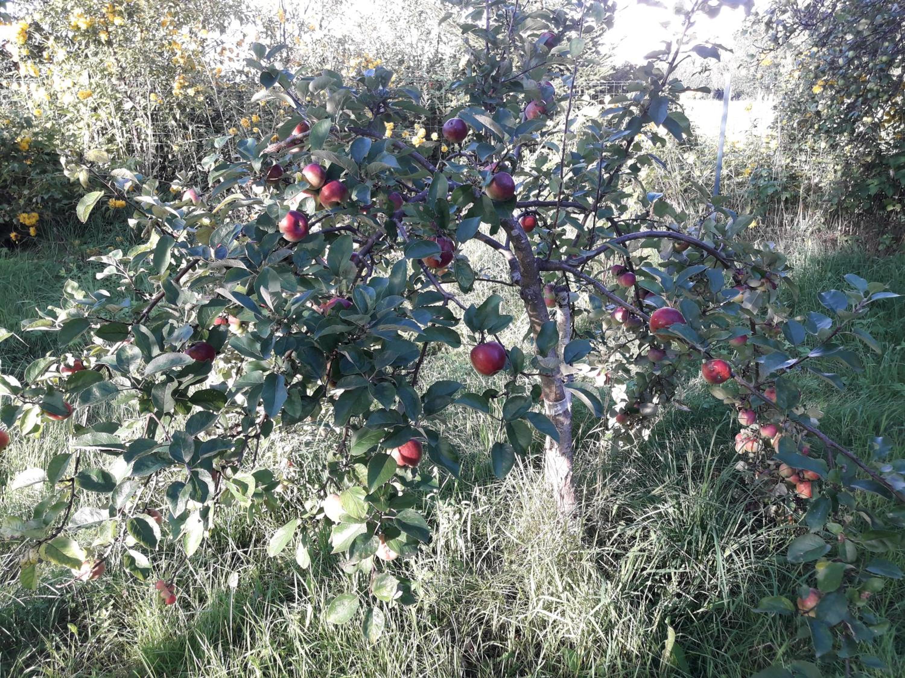 Photo 40
